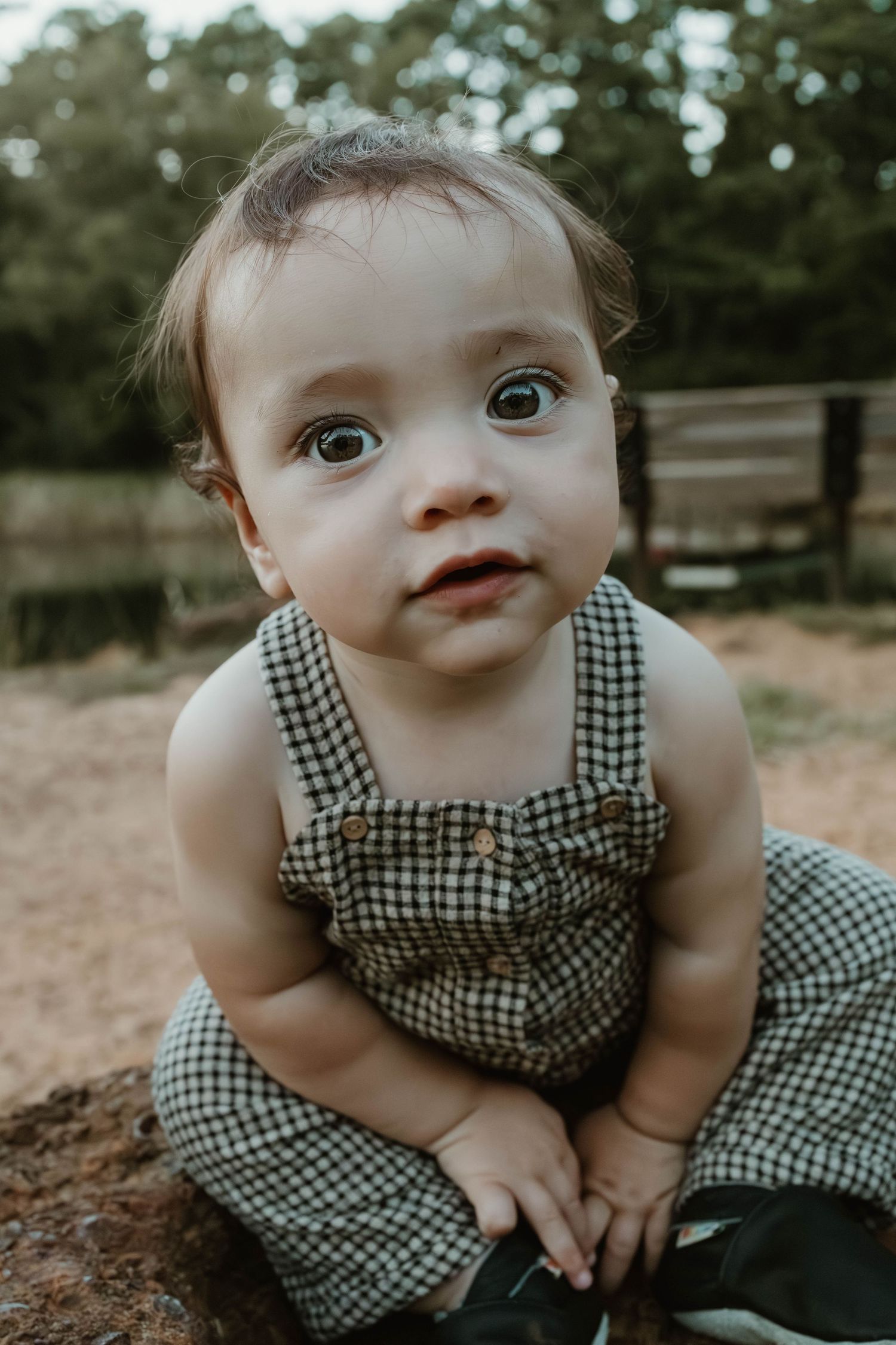 Little one wearing gingham overalls sits outdoors in a natural setting while looking upward with wide-eyed curiosity.