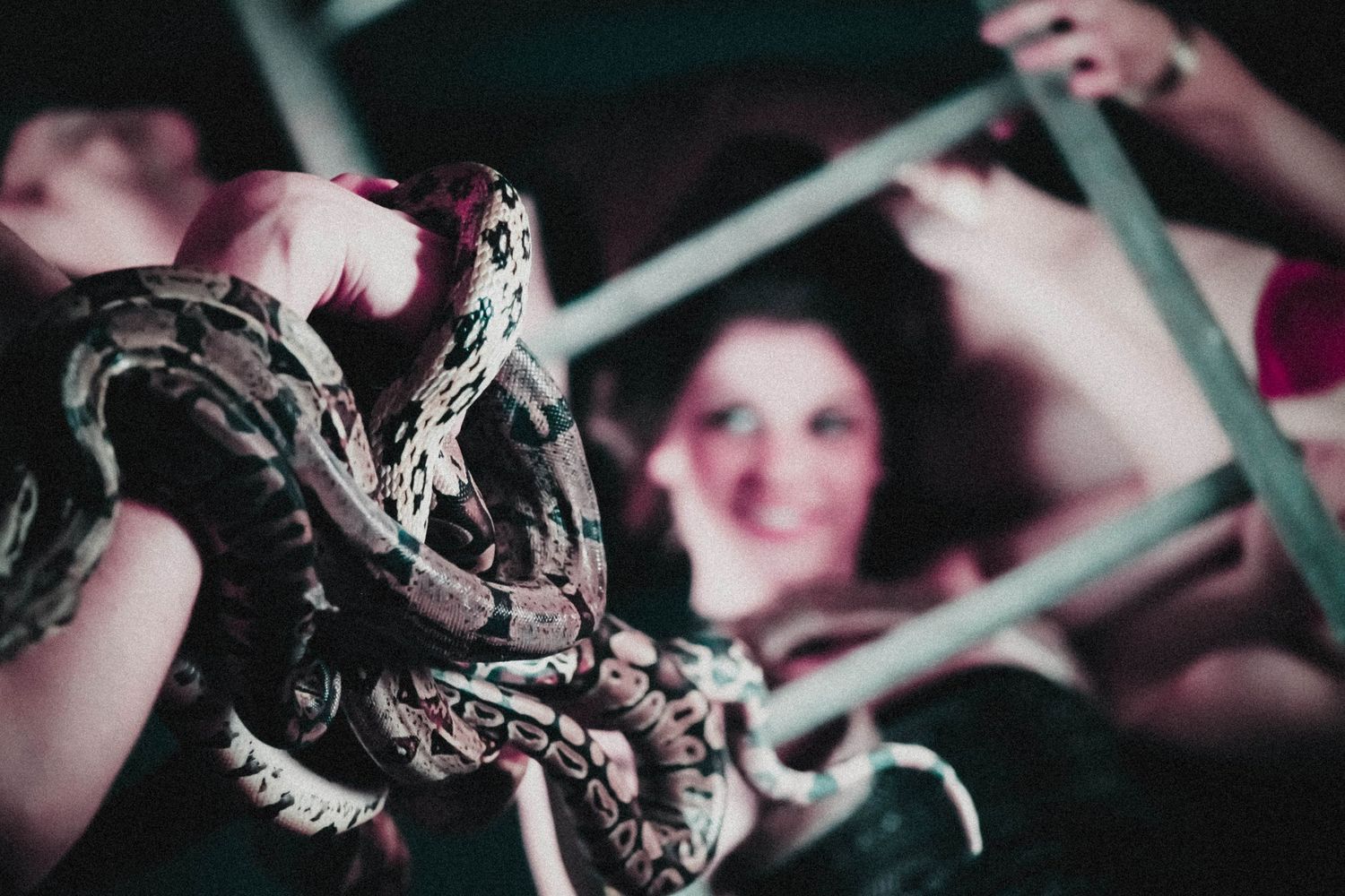 Snakes & Ladders