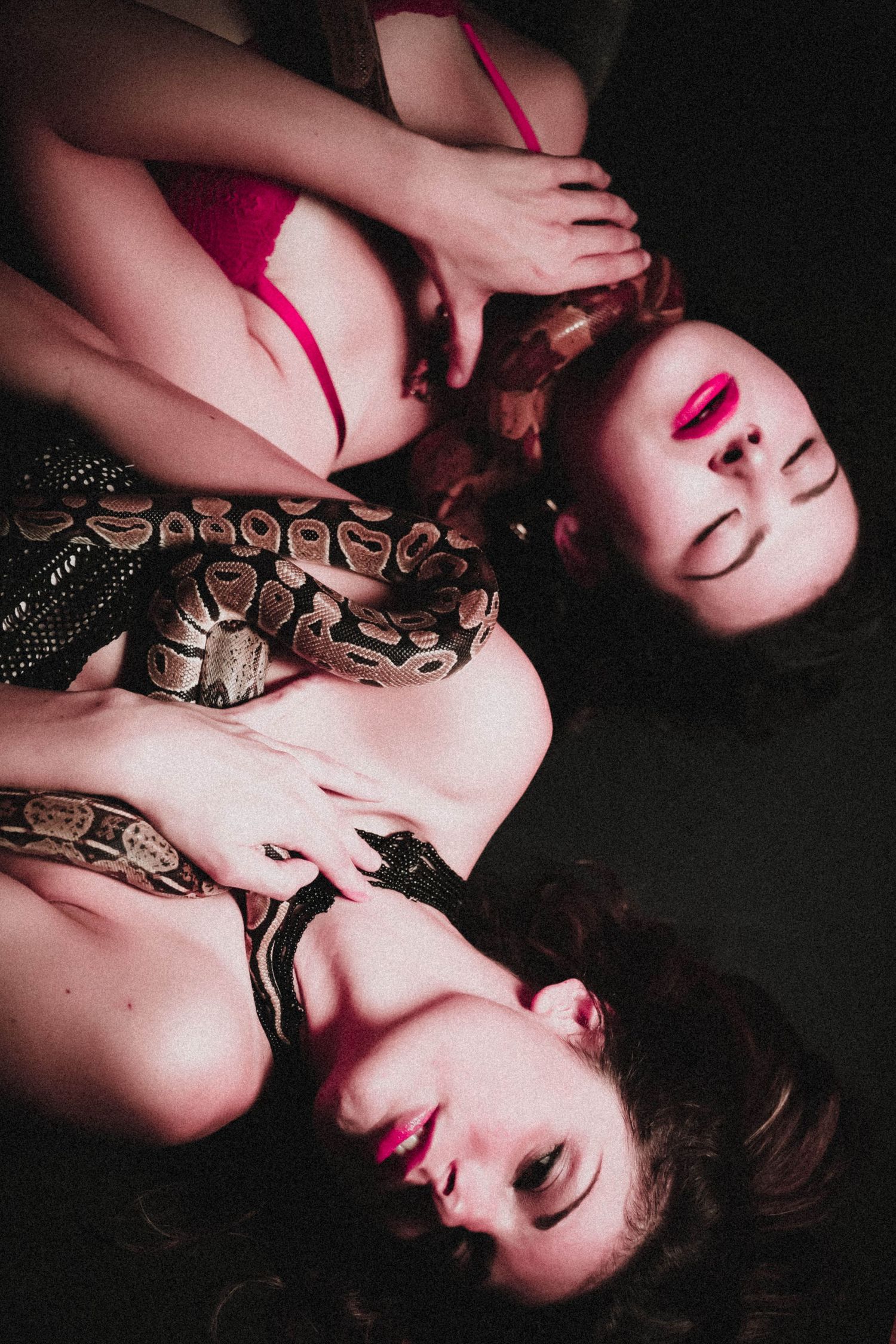 Snakes & Ladders