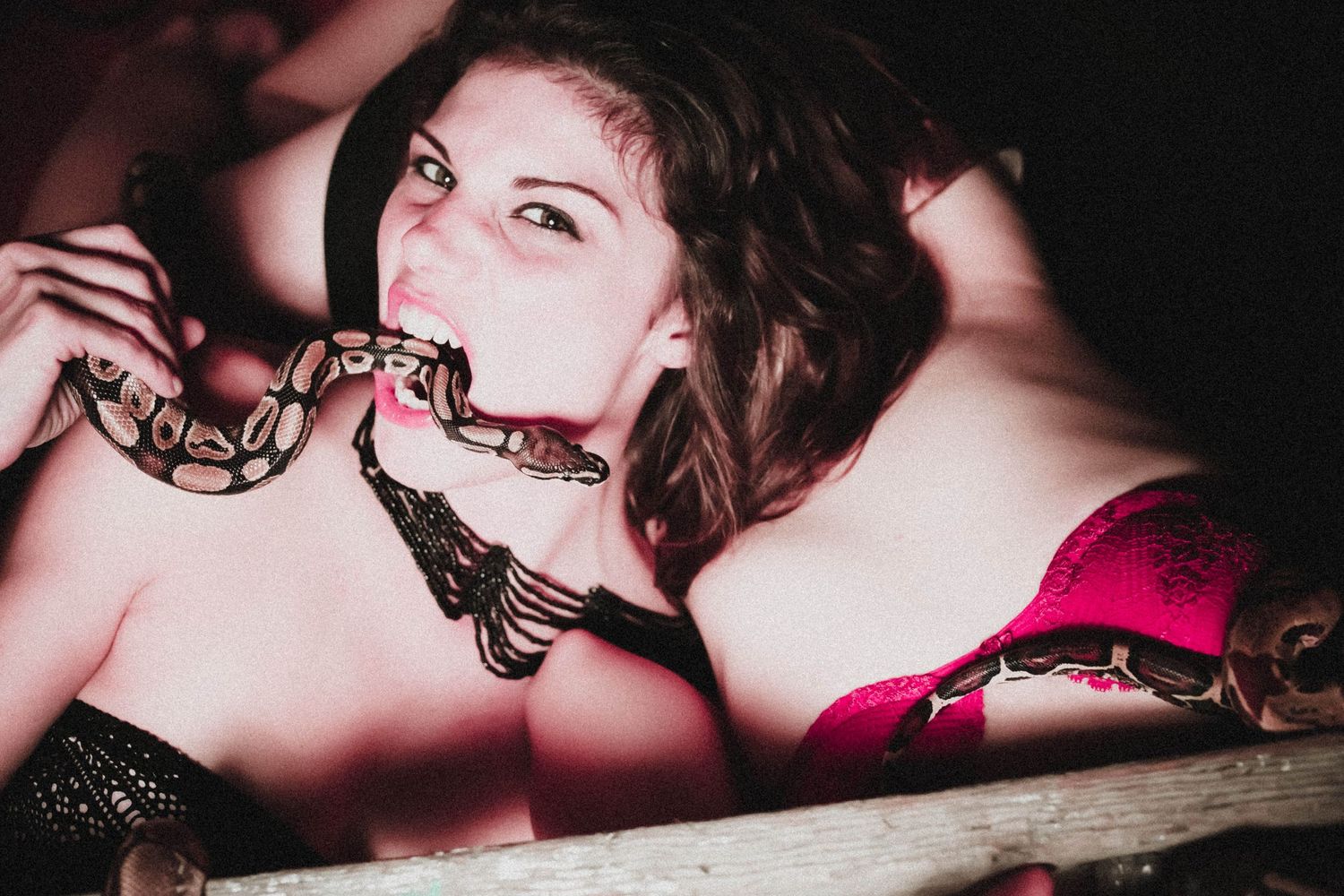 Snakes & Ladders
