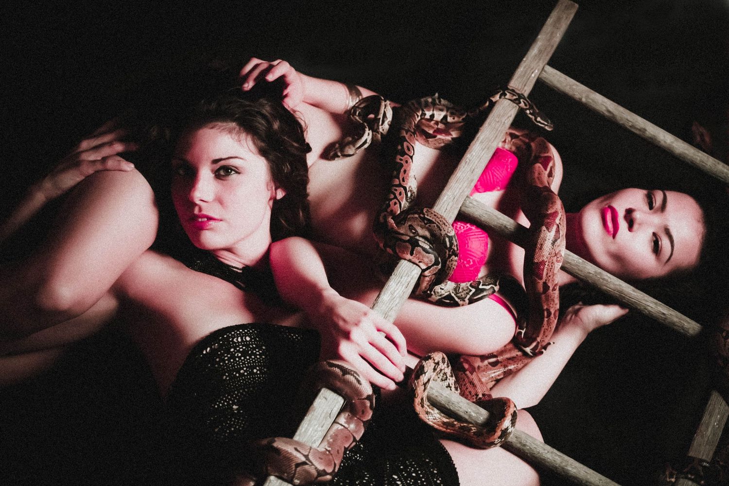 Snakes & Ladders