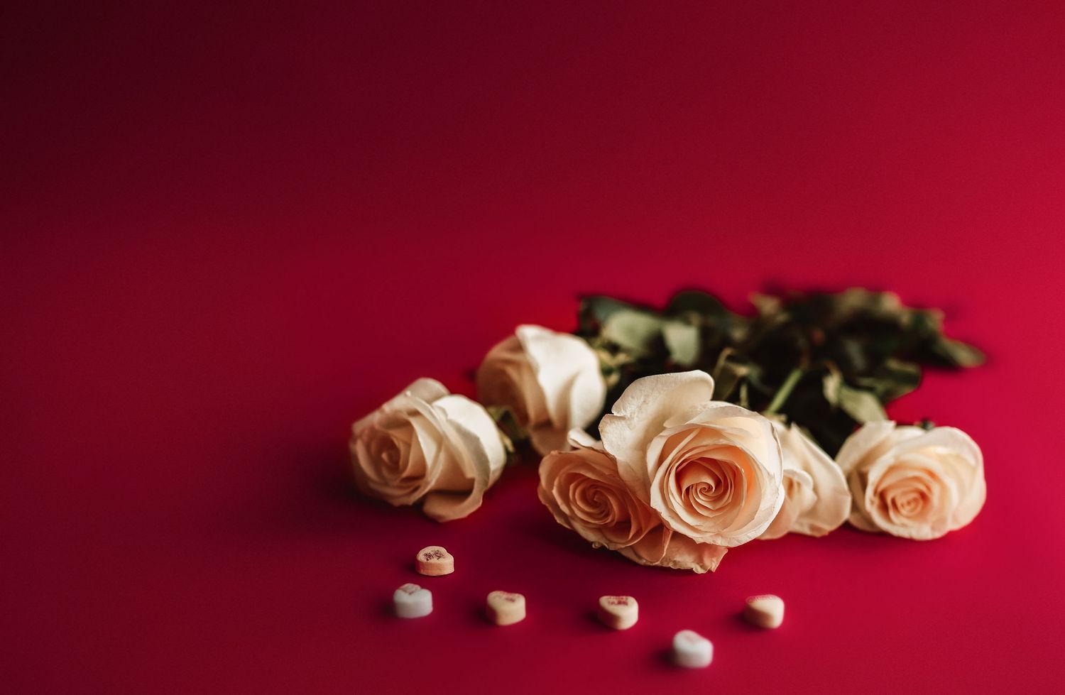 Indiana luxury boudoir photograph of white roses and heart candies on crimson paper backdrop