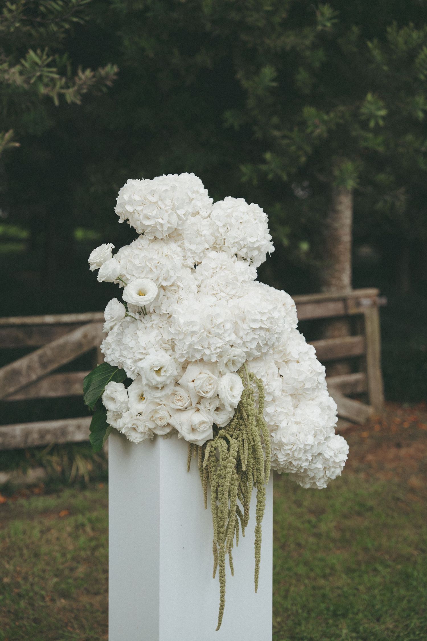 Lush white hydrangea and rose floral arrangement with amaranthus on white ceremony pillar.