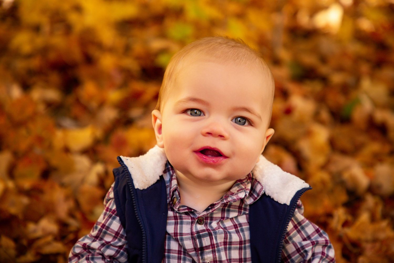 A baby in a plaid shirt and navy vest smiles while sitting in fallen autumn leaves.