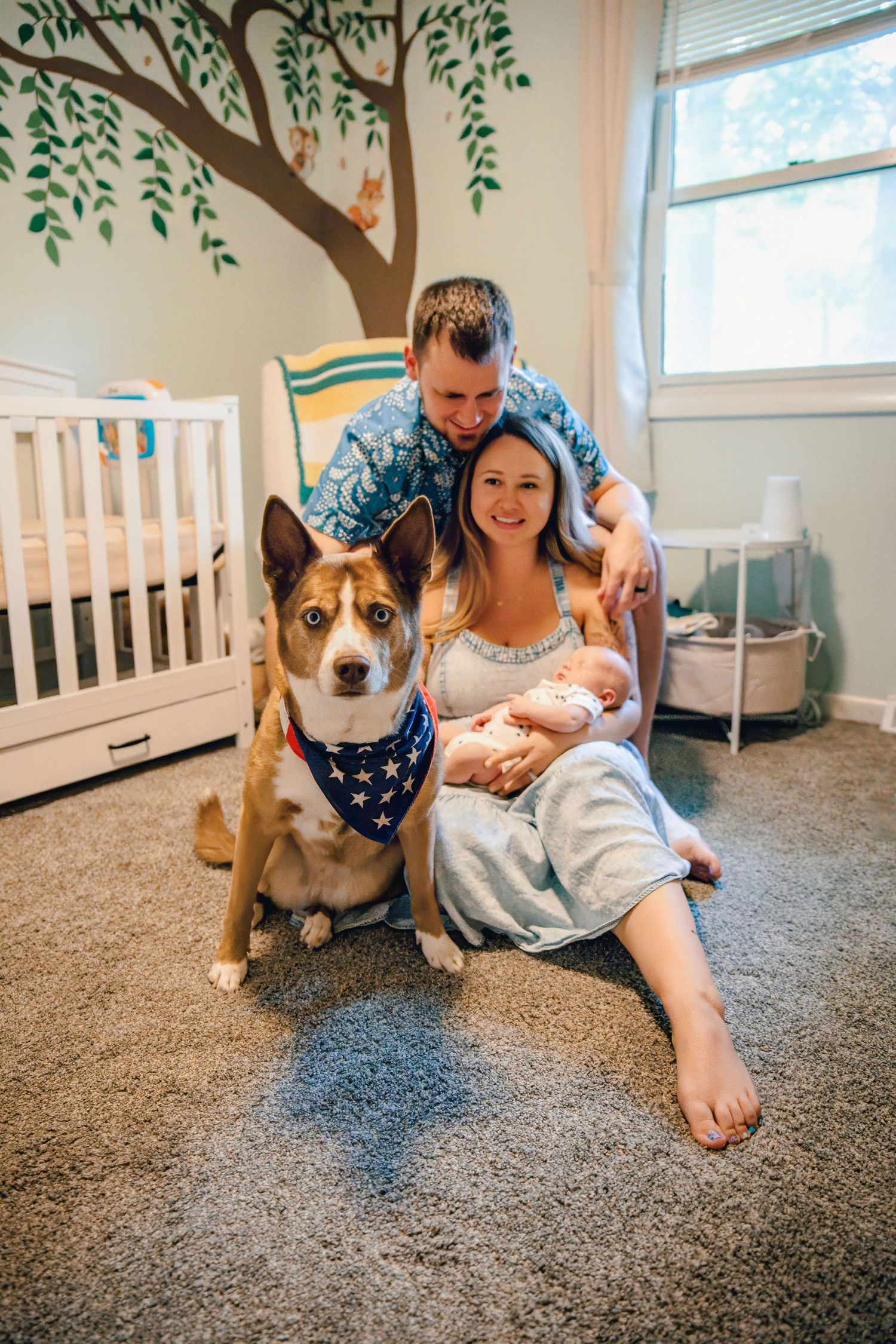 Indoor family photos with a corgi dog in a nursery decorated with painted tree murals.