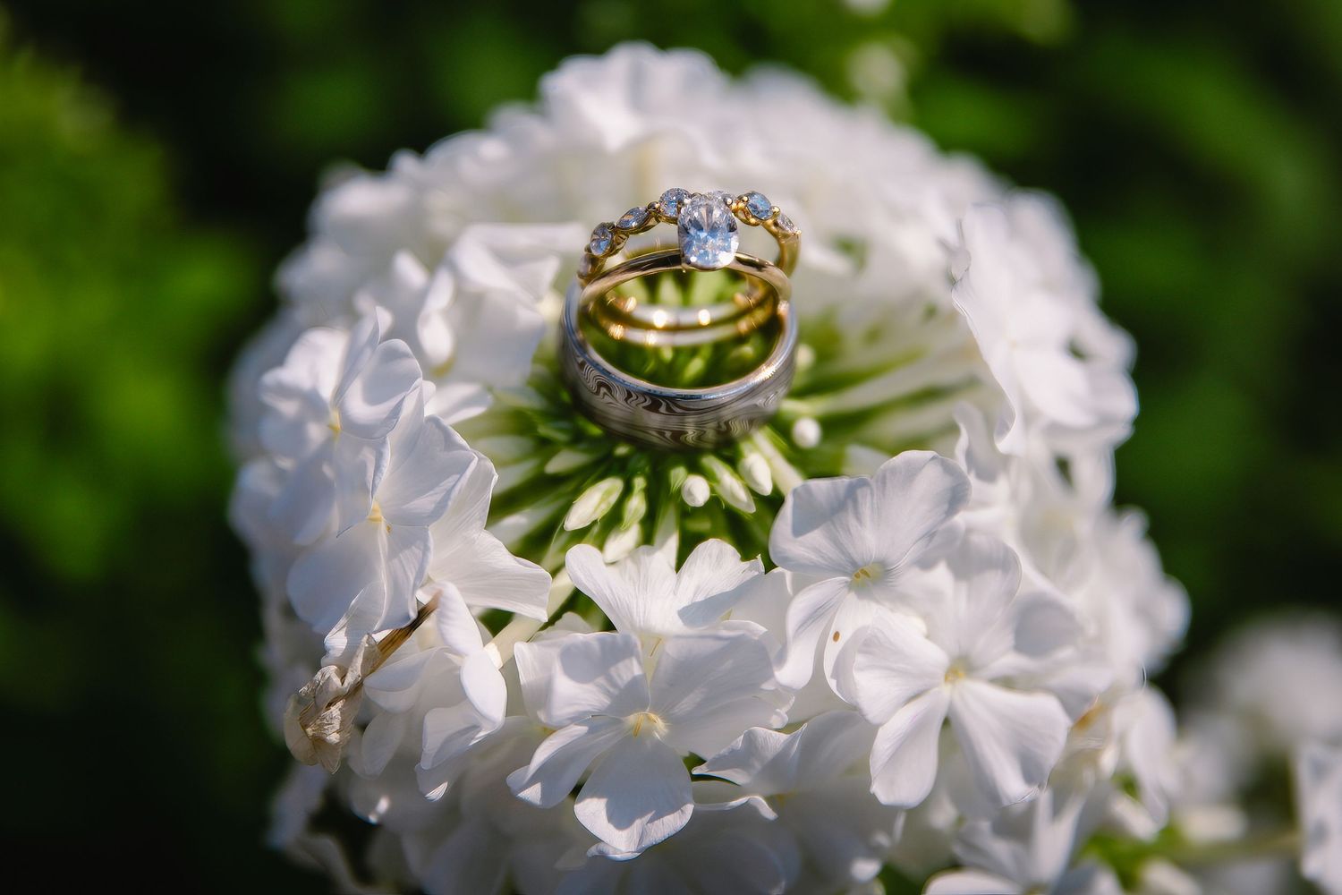Wedding rings rest delicately on white flowers with green foliage in the background.