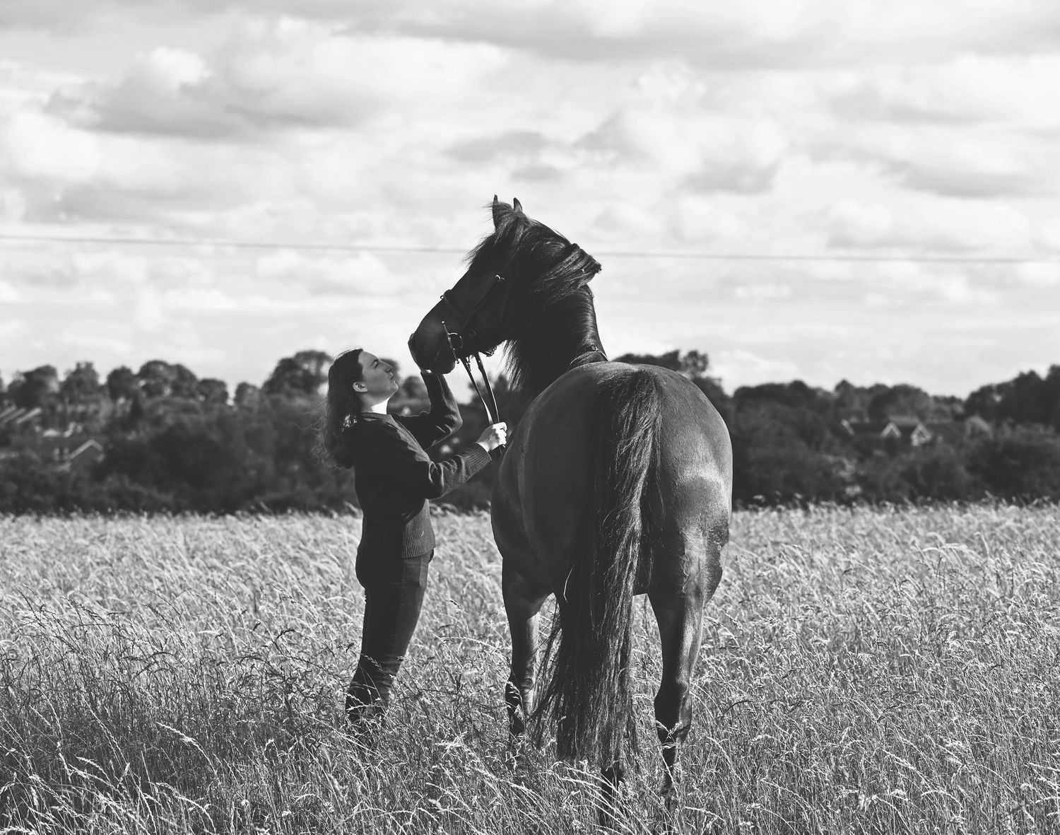 Horse