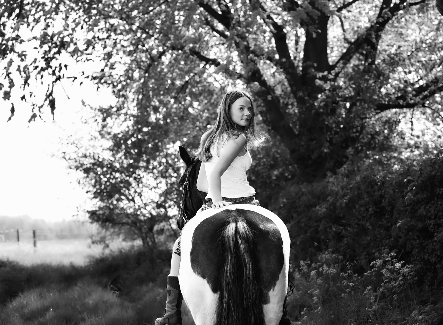 Horse