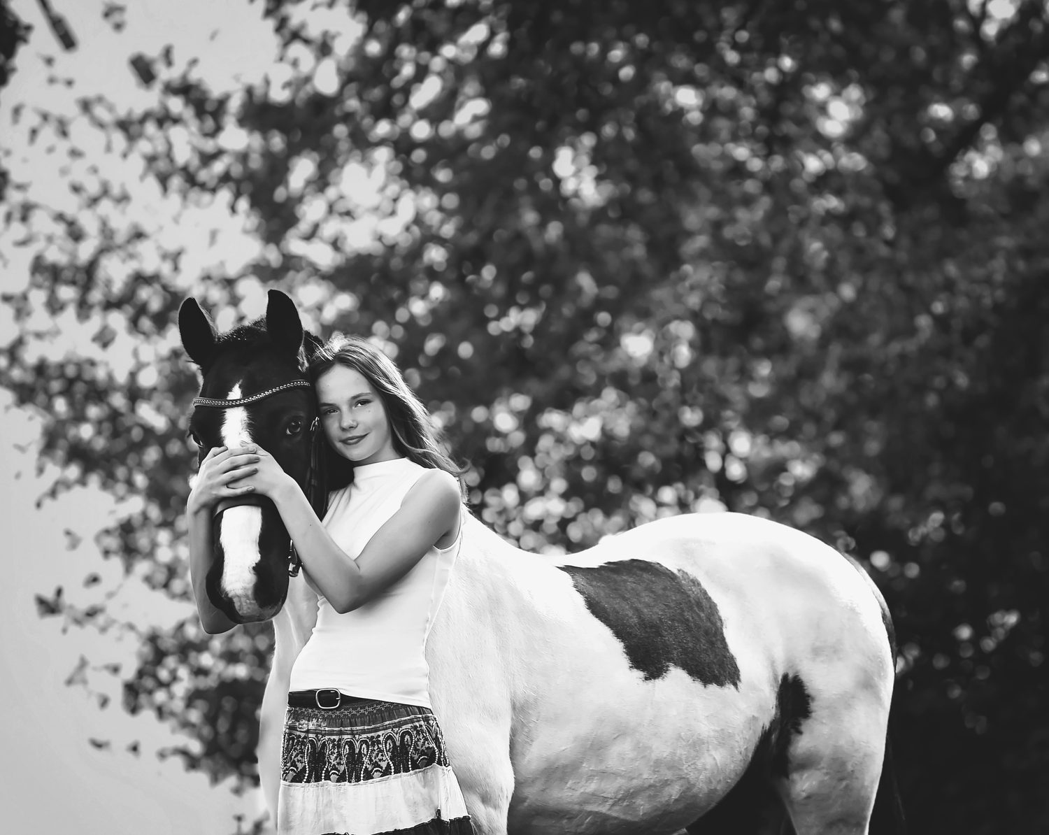 Horse