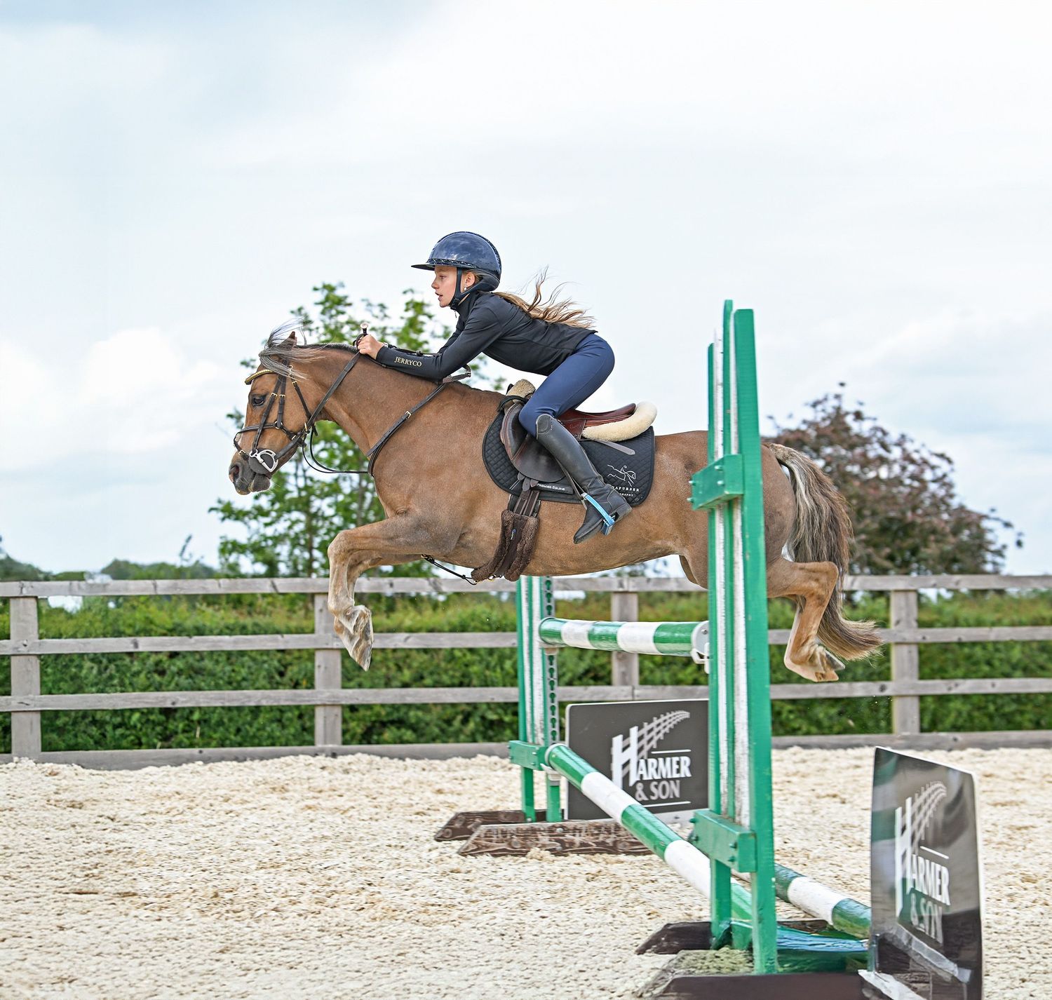 Horse