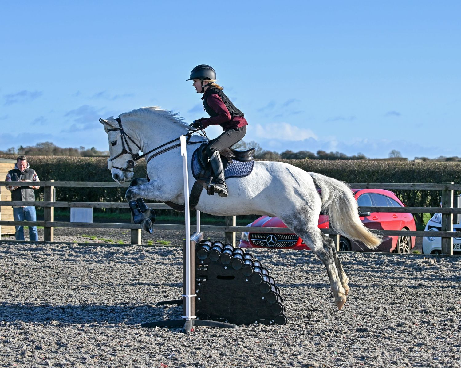 Horse