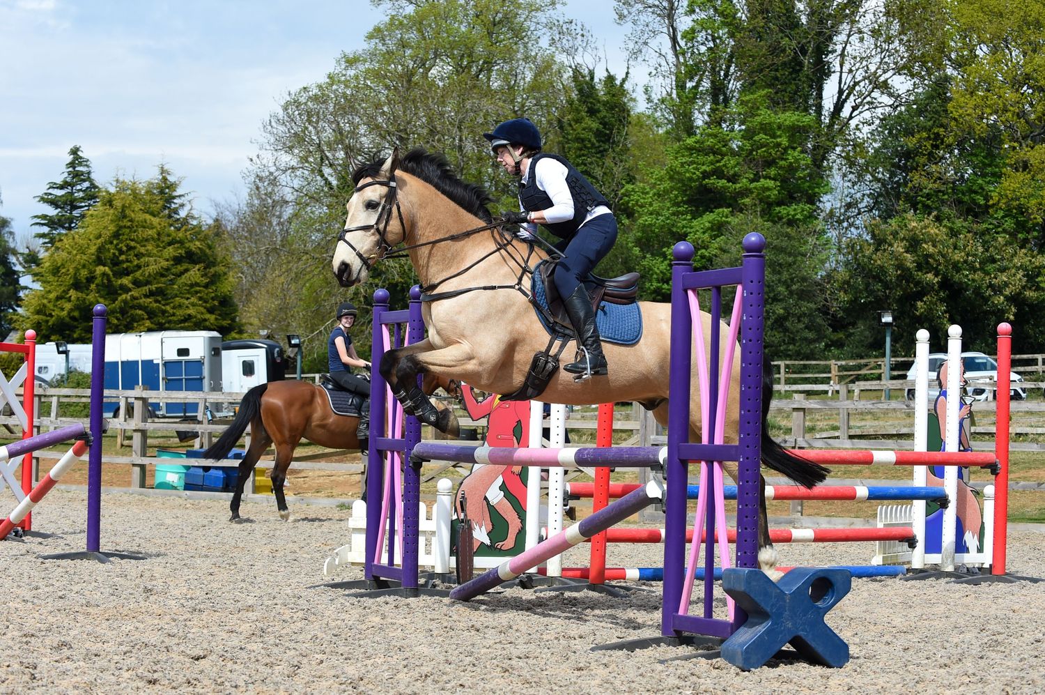 Horse
