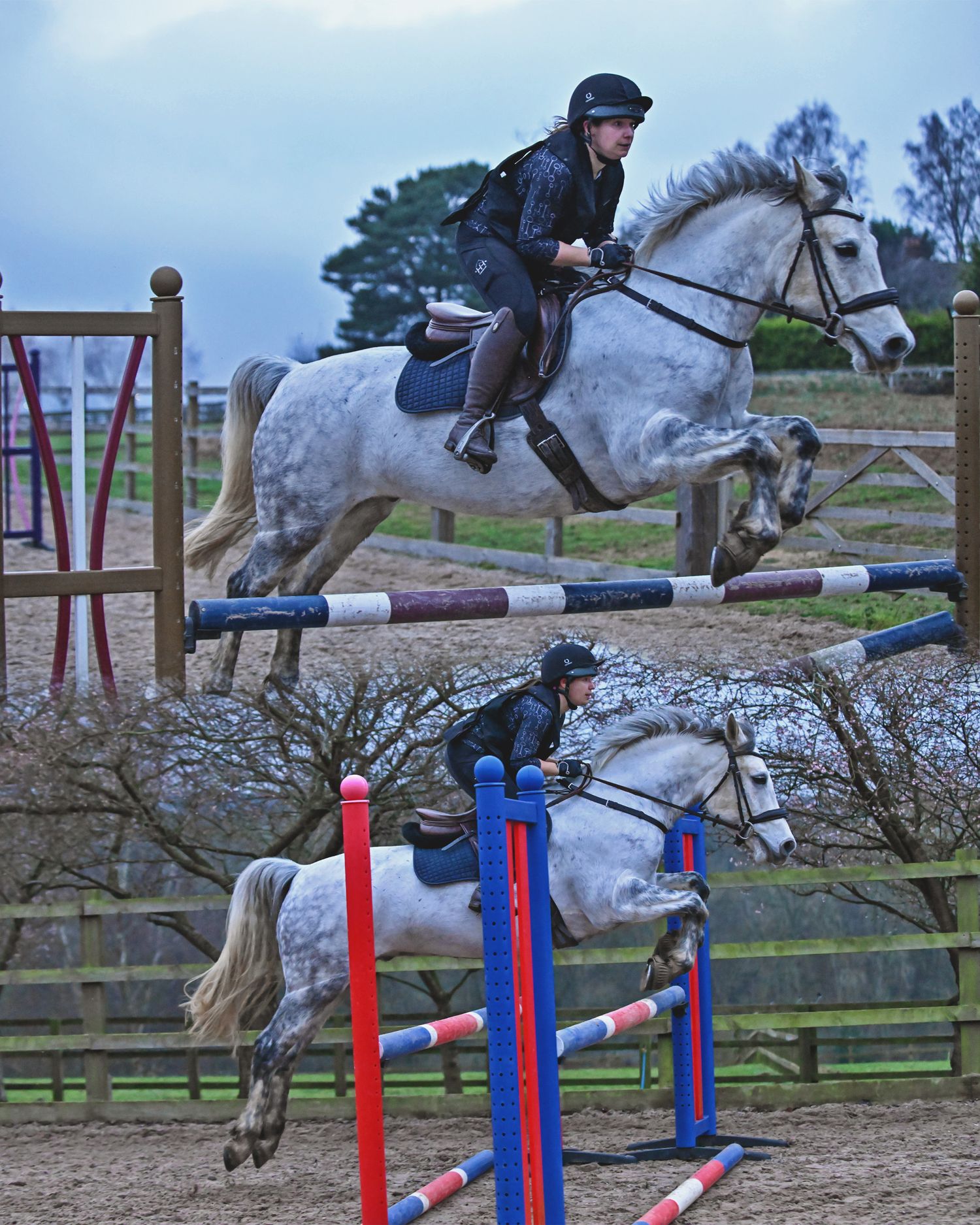 Horse