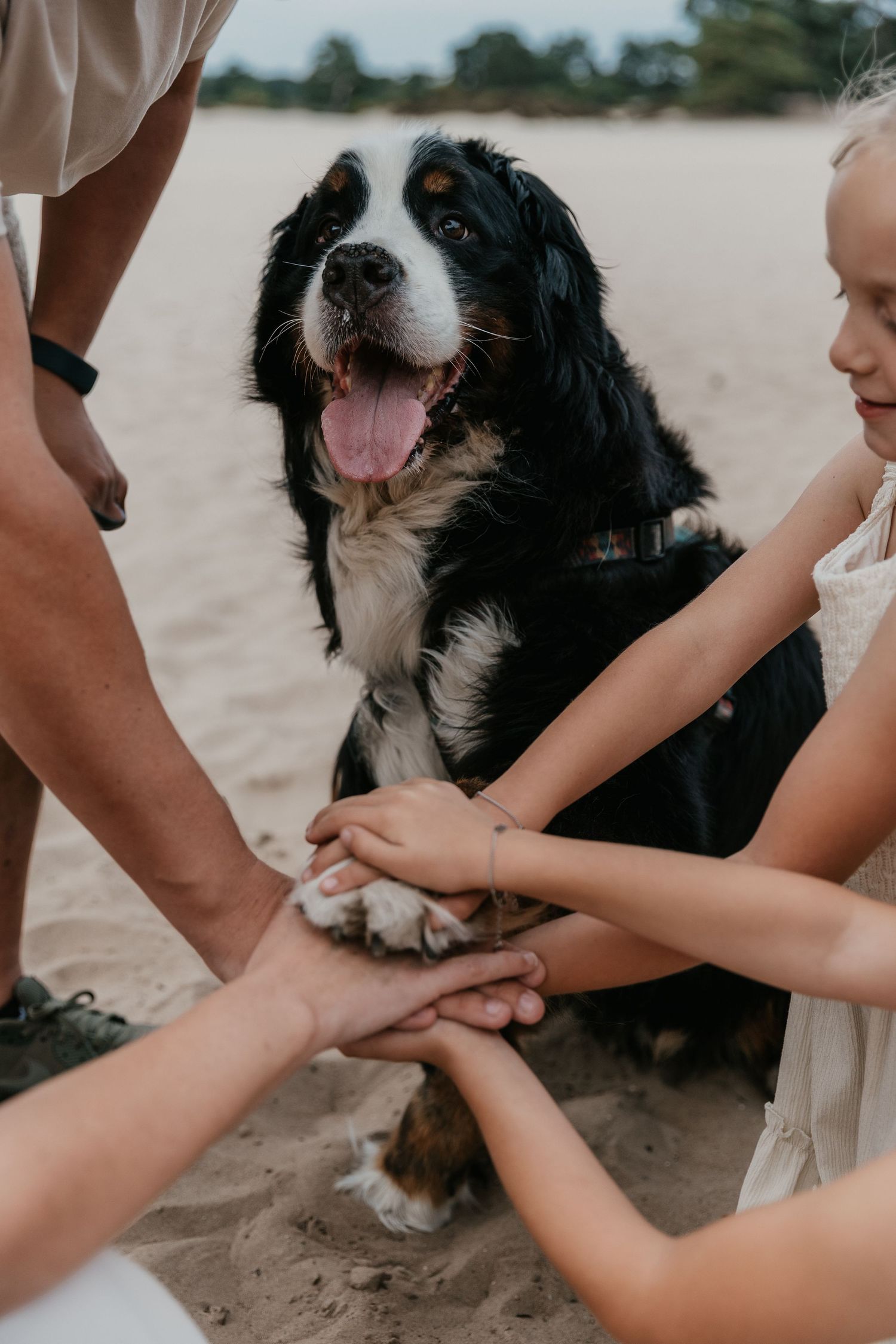 Een dierbaar familiemoment met hond, vastgelegd als warme herinnering aan de liefde en verbondenheid binnen het gezin.
