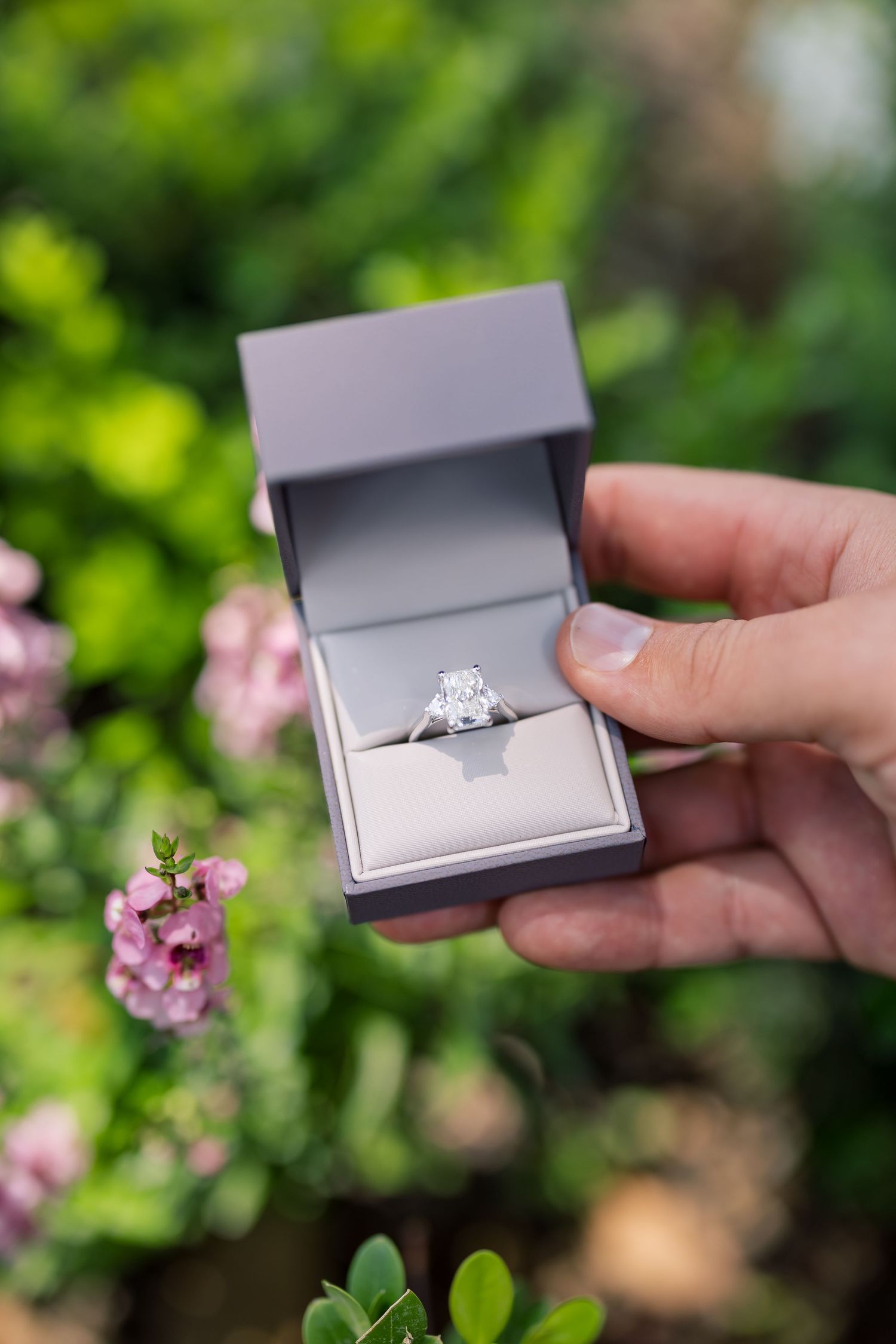Hand holding open gray box with diamond solitaire engagement ring outdoors with green foliage background.