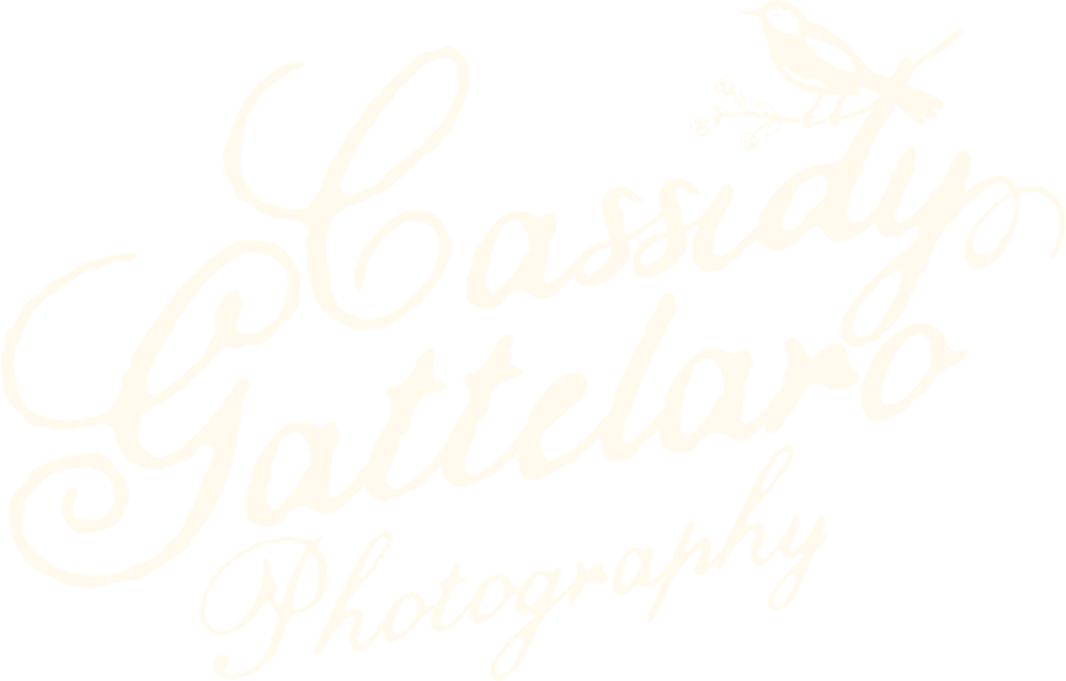Cassidy Gattelaro Photography elegant cursive logo in soft cream tones on white background.