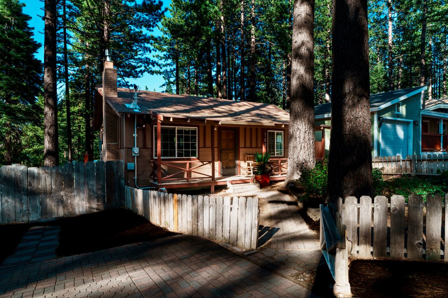 Modern wooden cabin with deck surrounded by tall pine trees in a serene forest setting.