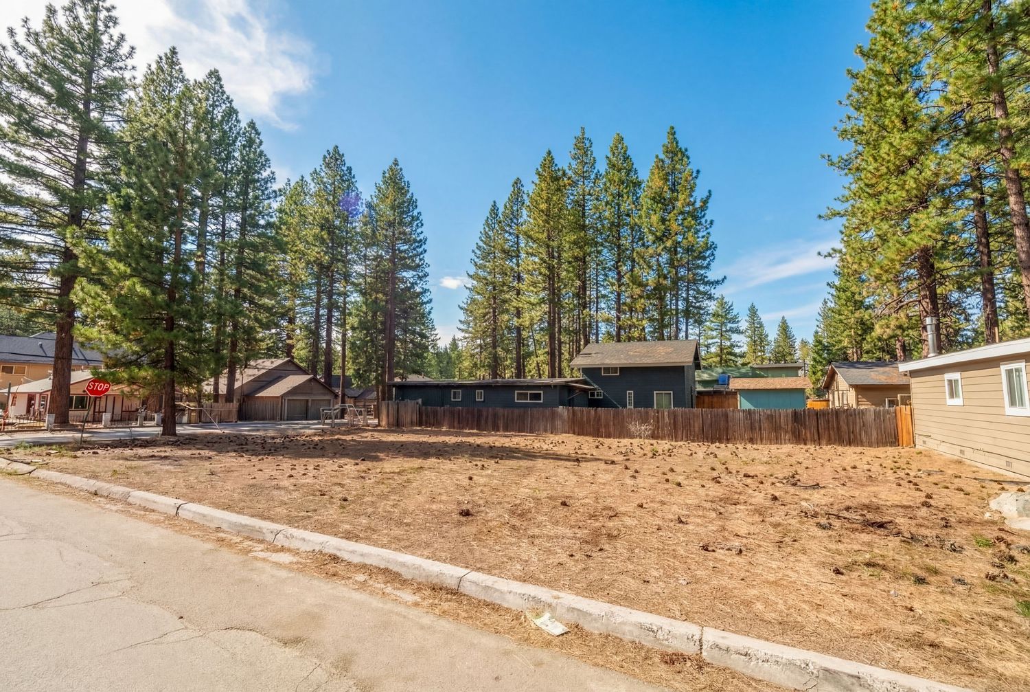 Panoramic view of pine forest landscape with dirt path and scattered buildings in a mountain setting under blue sky.
