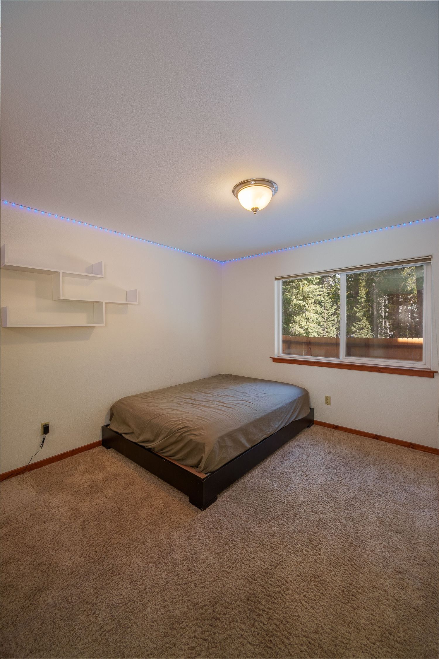 Simple bedroom with brown carpet, white walls, floating shelves, and a window overlooking trees.