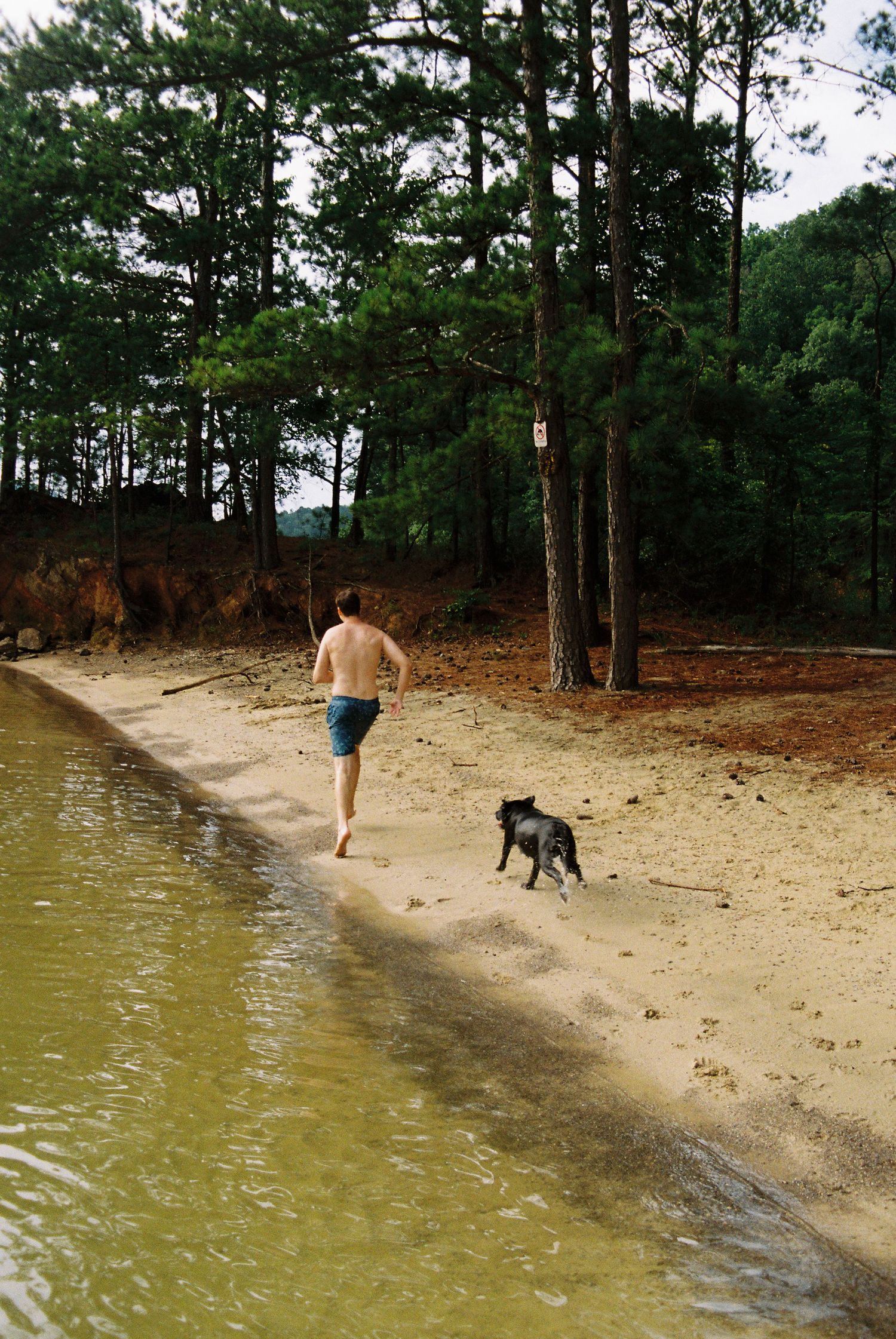 Man with bathing suit running with black dog along sandy lakeside beach surrounded by pine trees.