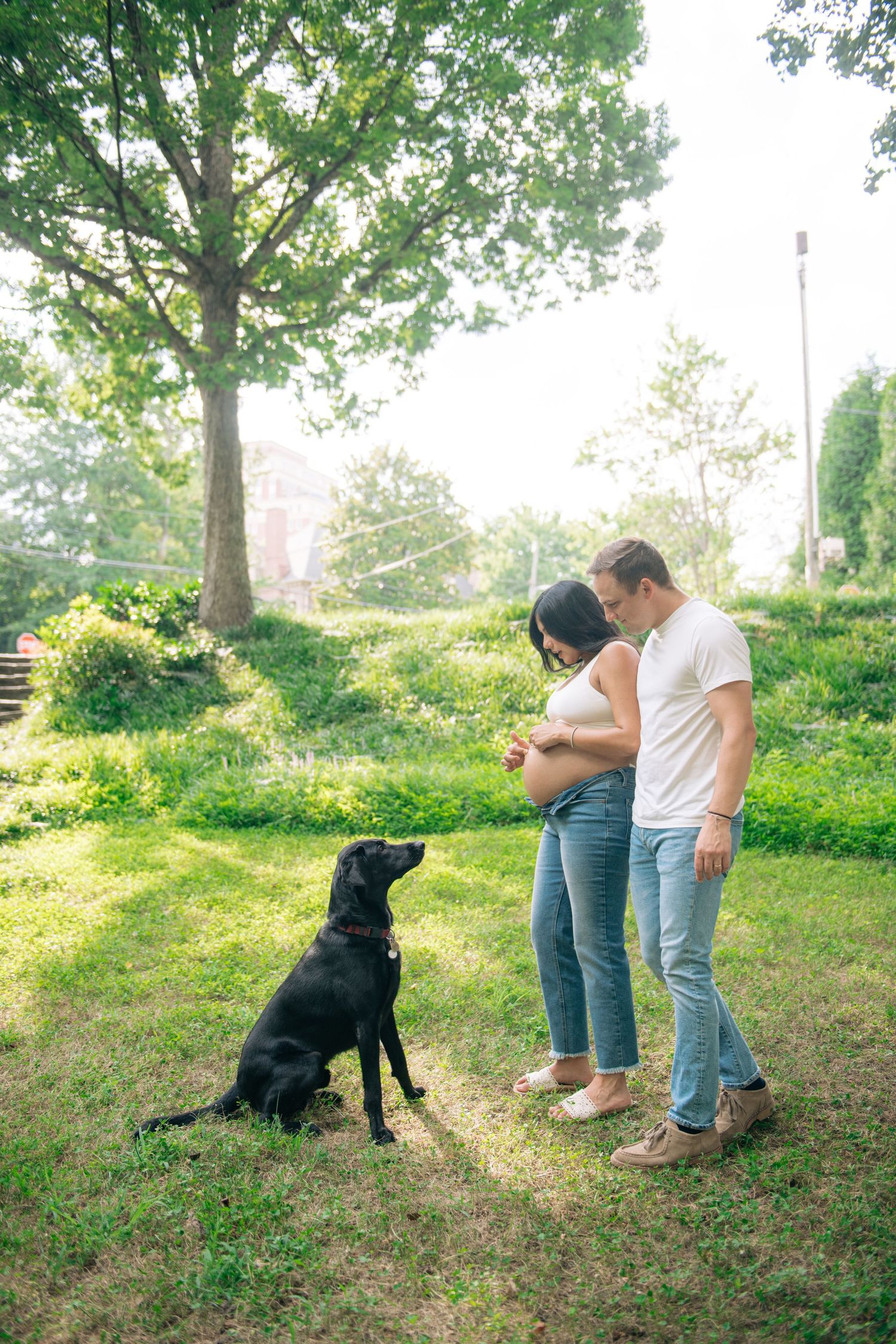 Pregnant couple in jeans stand outdoors on grass with black Labrador dog, surrounded by lush green trees.