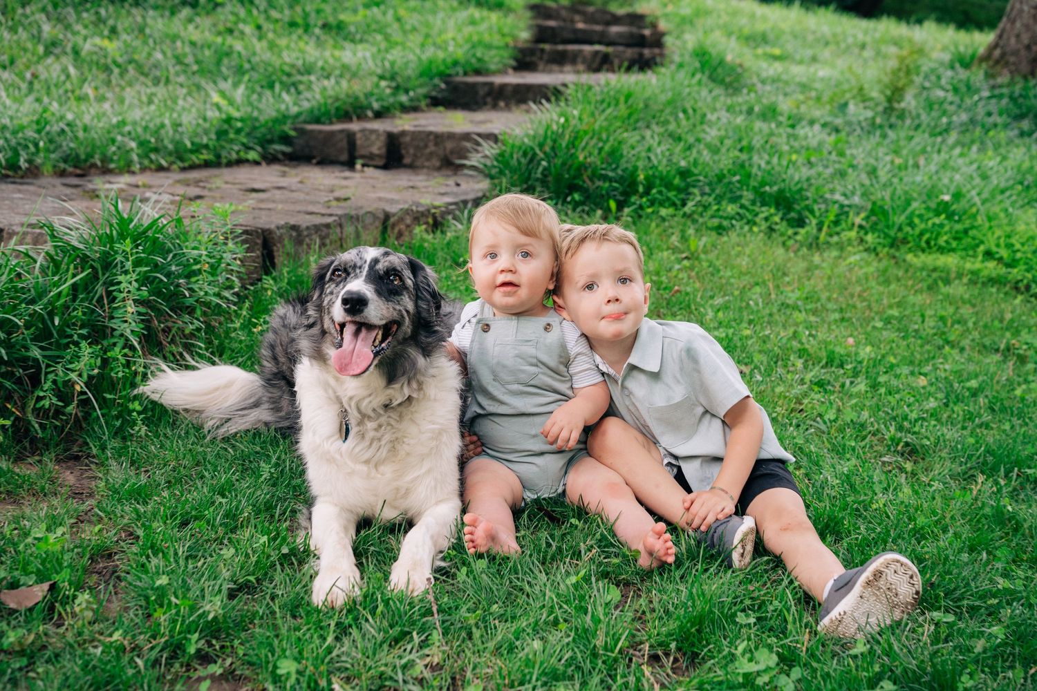 Two toddlers sit on green grass beside a fluffy black and white dog outdoors near stone steps.