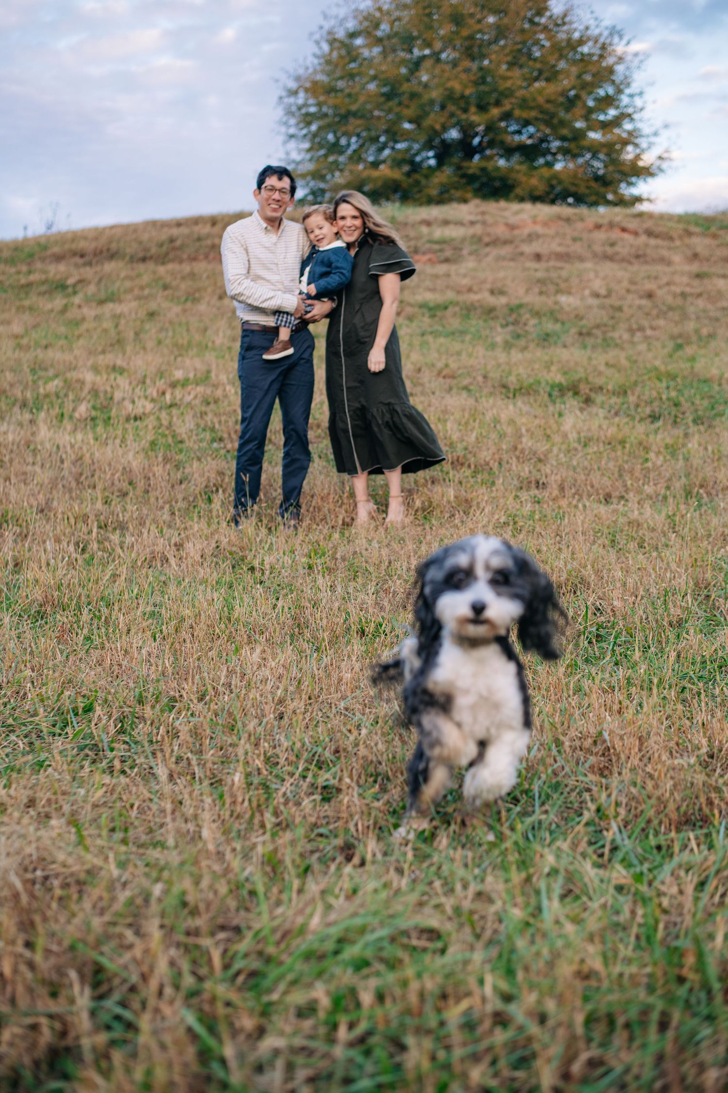 Family of three poses on a grassy hill while their black and white Cocker Spaniel runs toward the camera.