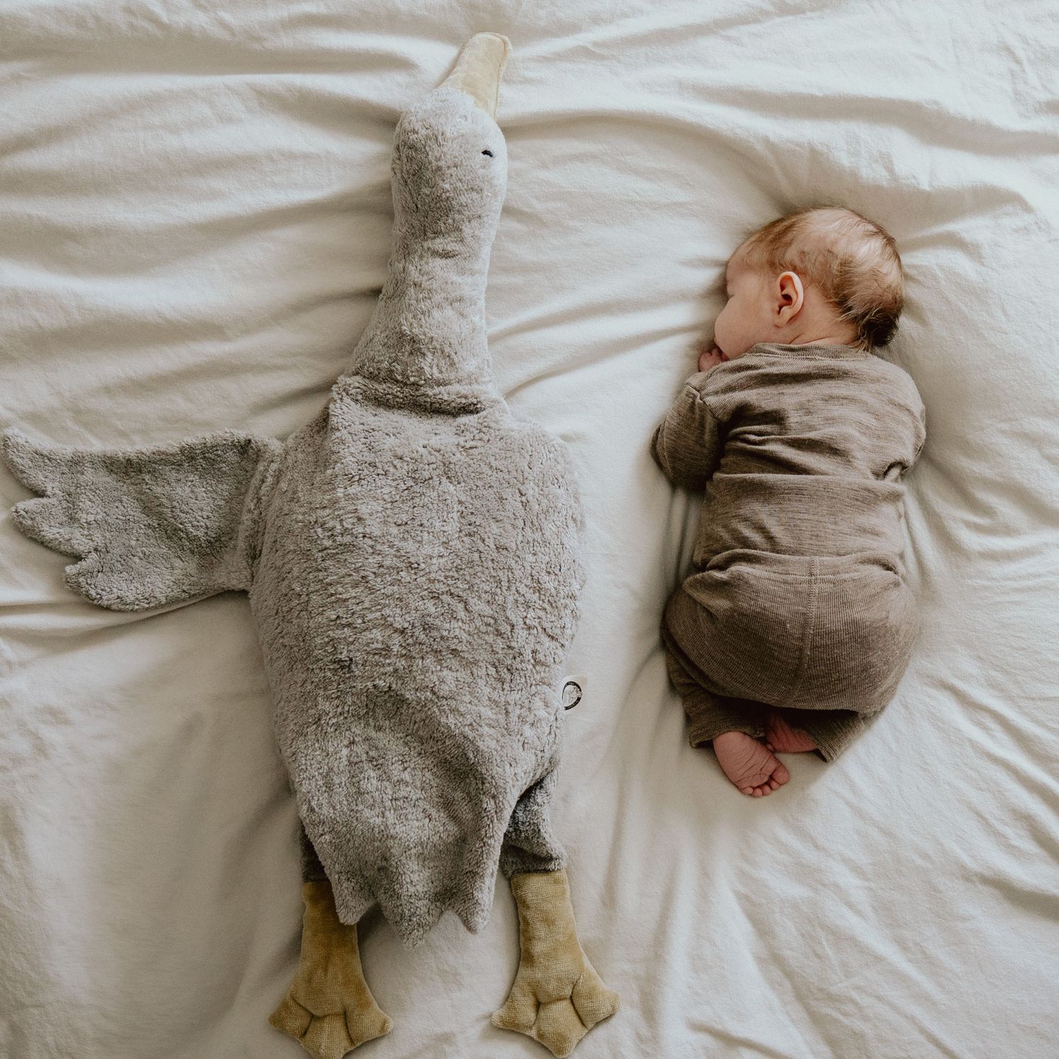 Neugeborenes neben einer Kuschelgans auf dem Bett, Newborn-Shooting
