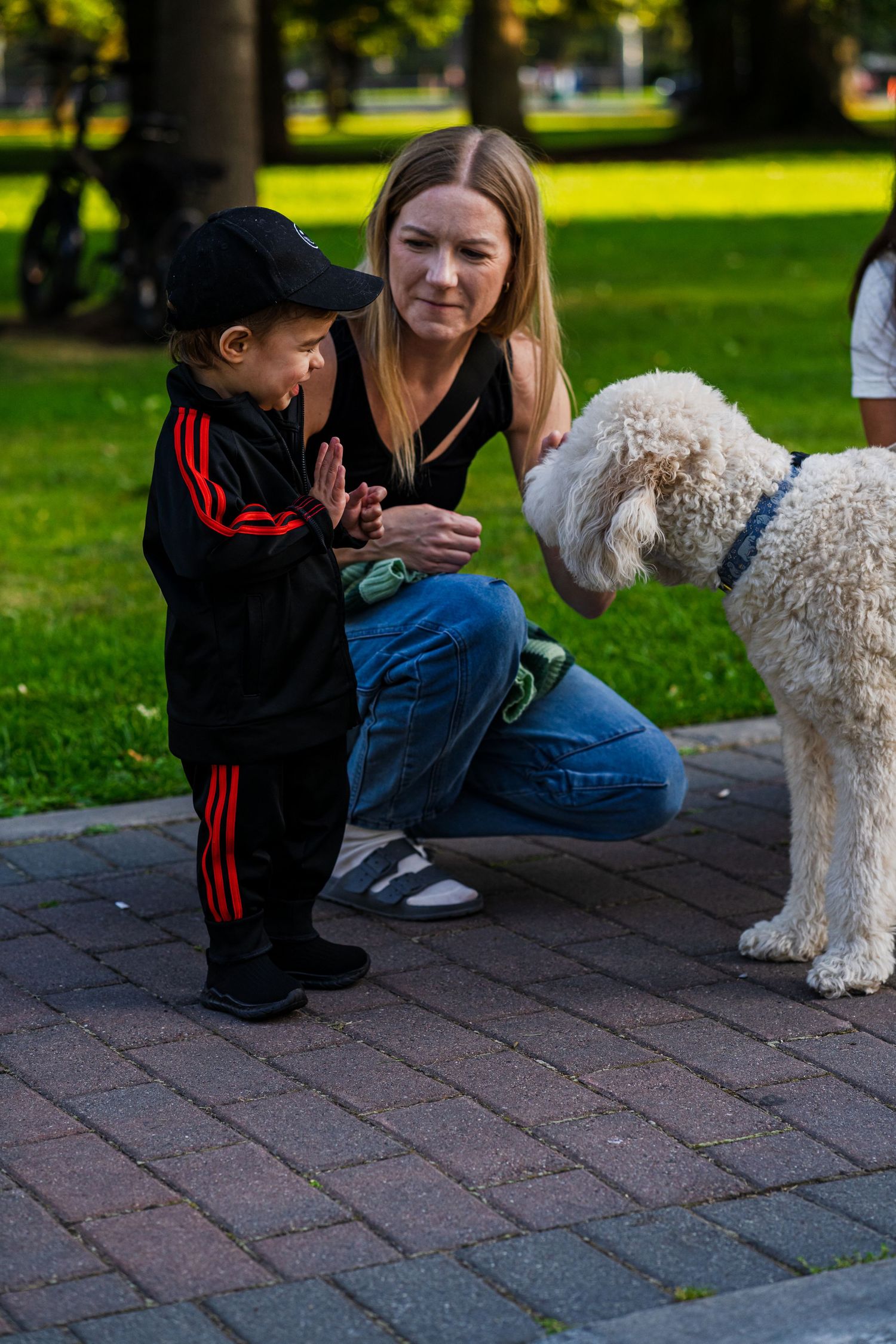 People interacting with a fluffy white dog on brick pavement in a sunny park setting.