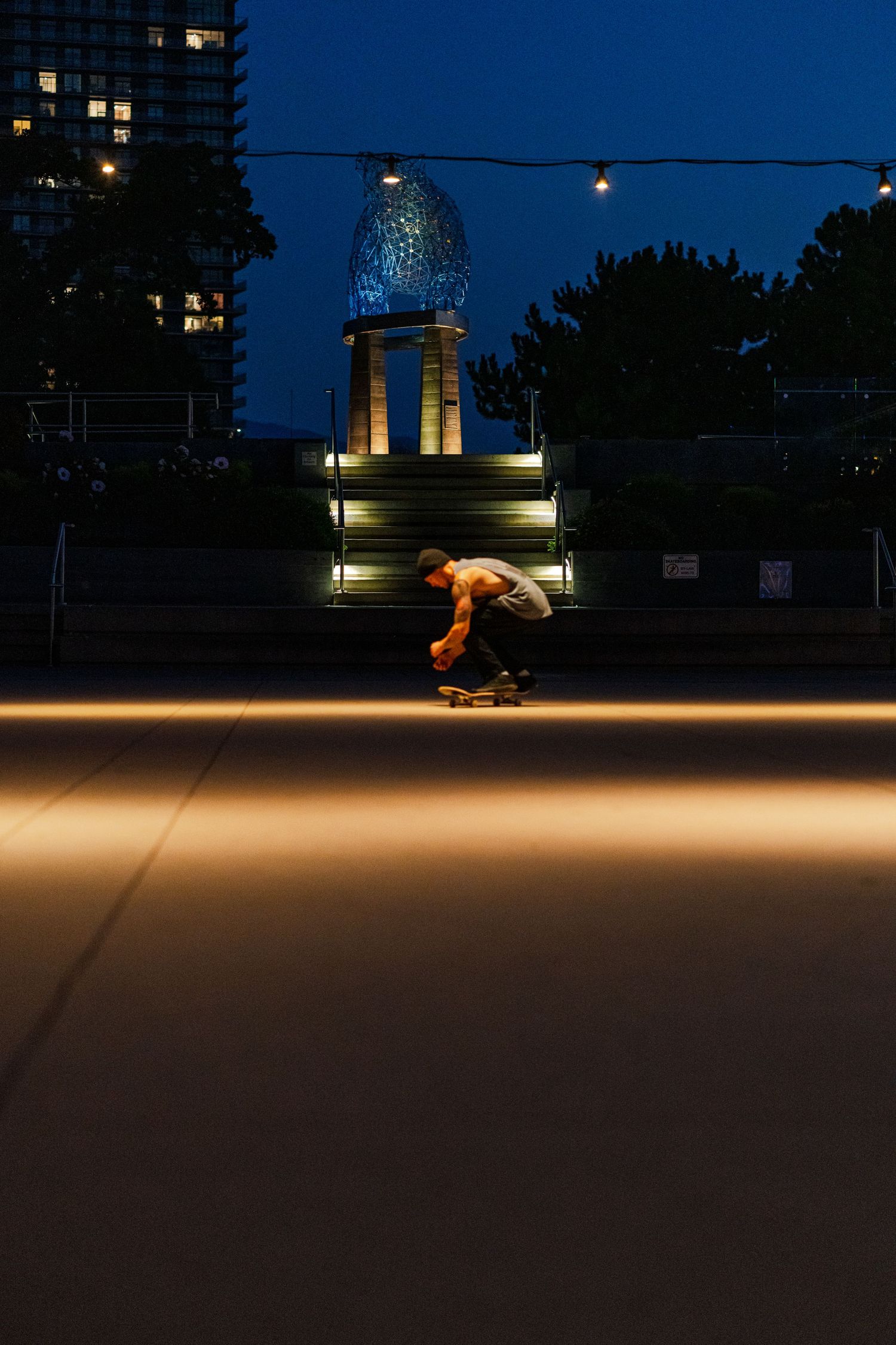 Long exposure nighttime shot showing illuminated pathways and building silhouettes against a dark blue sky.