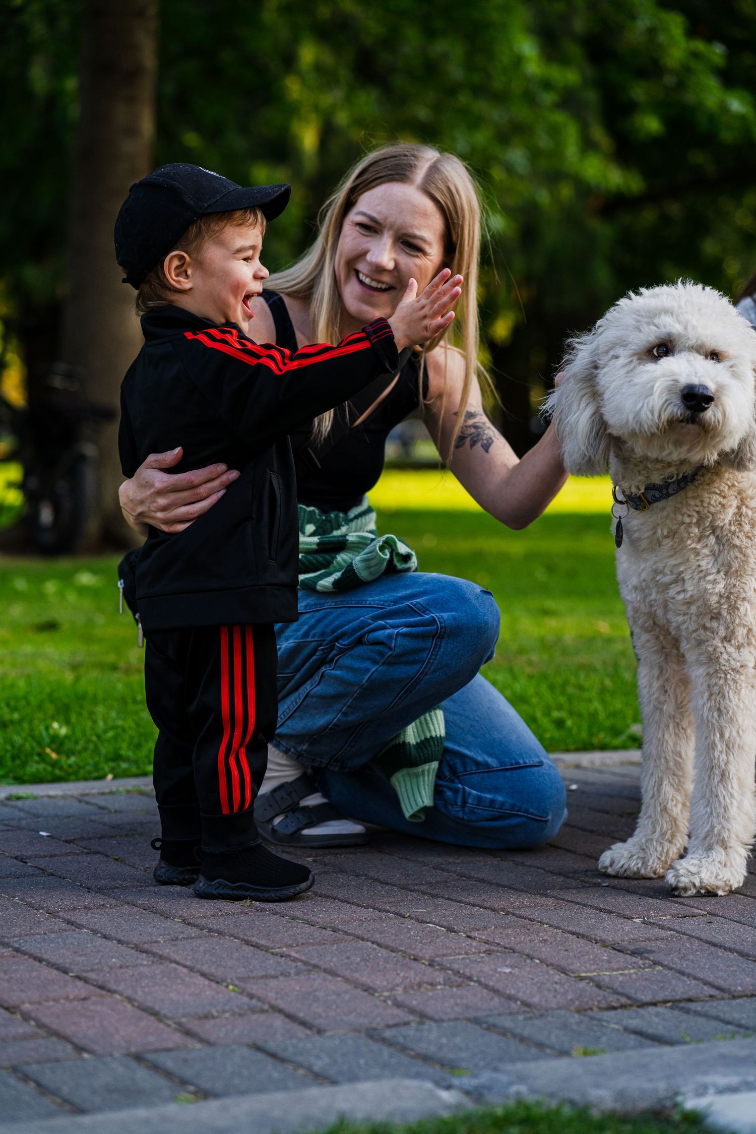 A fluffy white dog interacting with people sitting on brick pavement in a park setting.