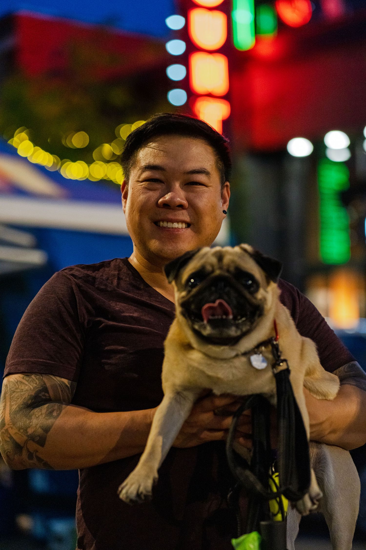 A pug dog with its owner enjoying a night out with colorful city lights in the background.