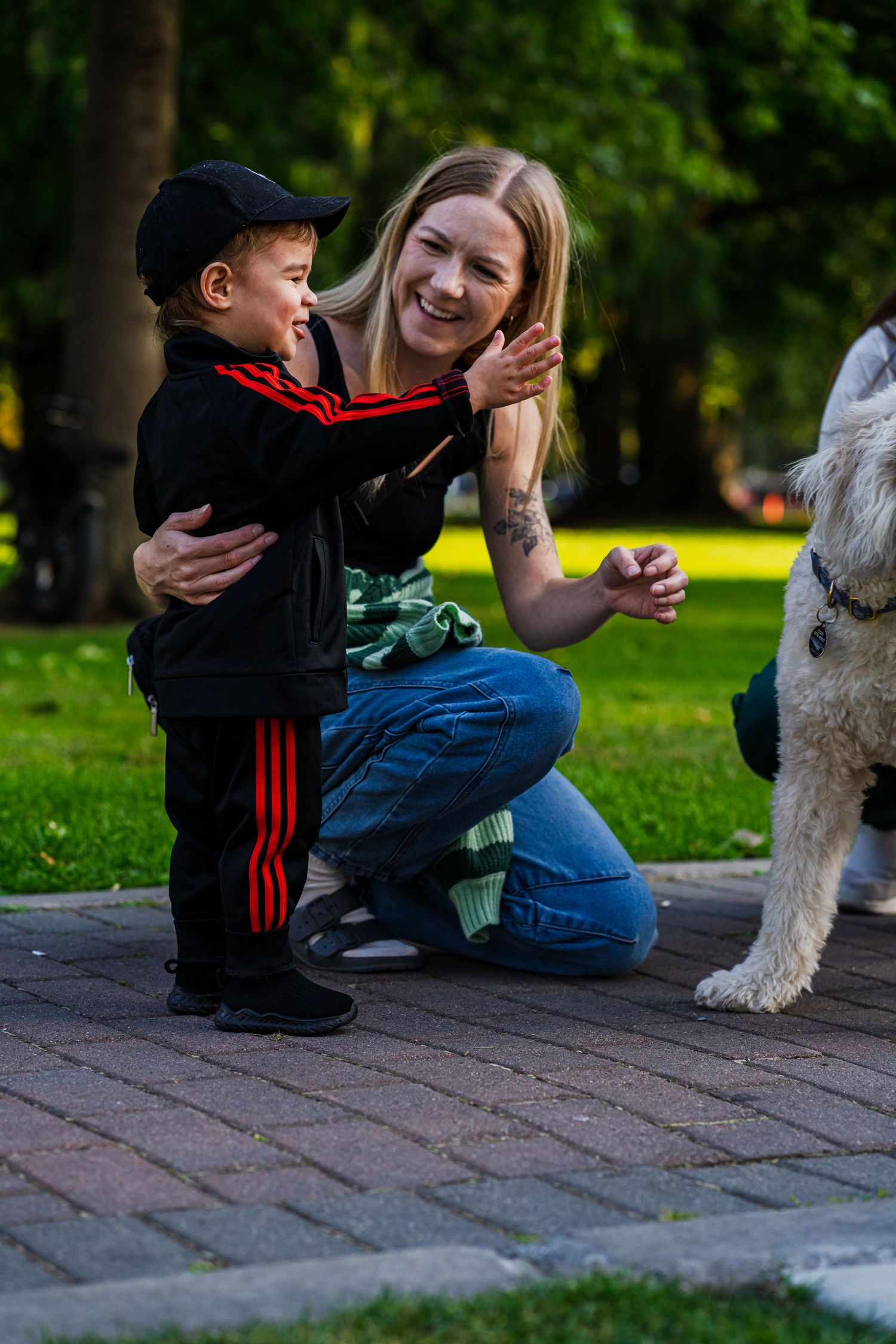 A fluffy white dog interacting with someone on a brick pathway in a park setting.