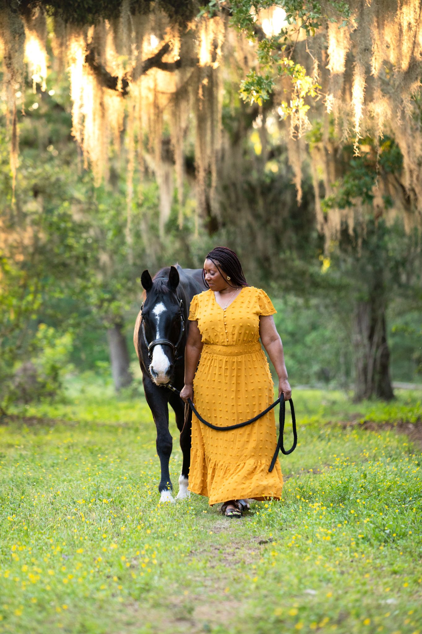 A beautiful horse with a white blaze stands beside someone in a flowing yellow dress under Spanish moss draped trees.