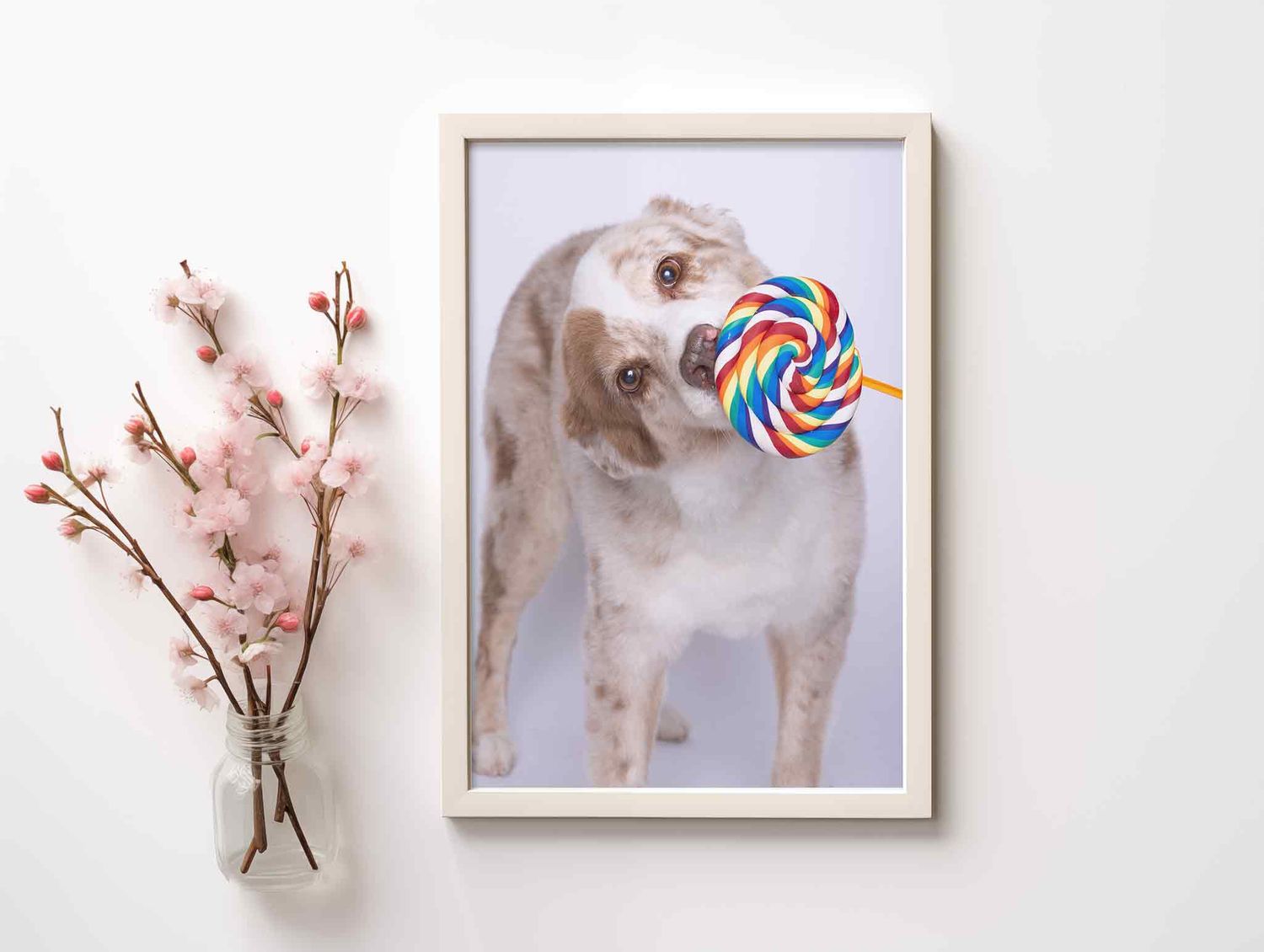 A fluffy dog holds a colorful rainbow lollipop in its mouth, displayed in a white frame beside pink cherry blossoms.