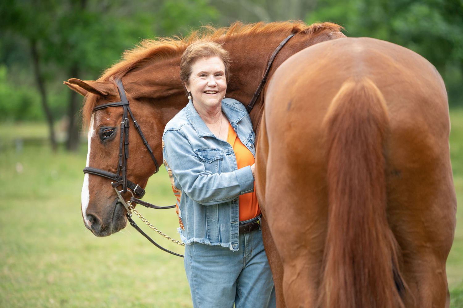 A brown horse and handler standing together in a grassy meadow on a sunny afternoon.