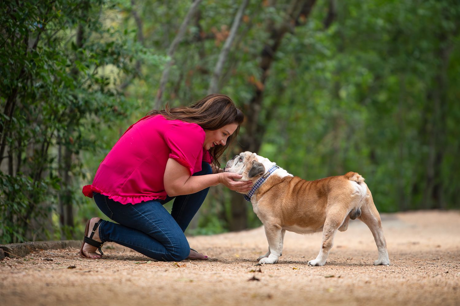 Someone wearing a pink shirt kneels down to give affection to a brown and white bulldog on a dirt path in the woods.