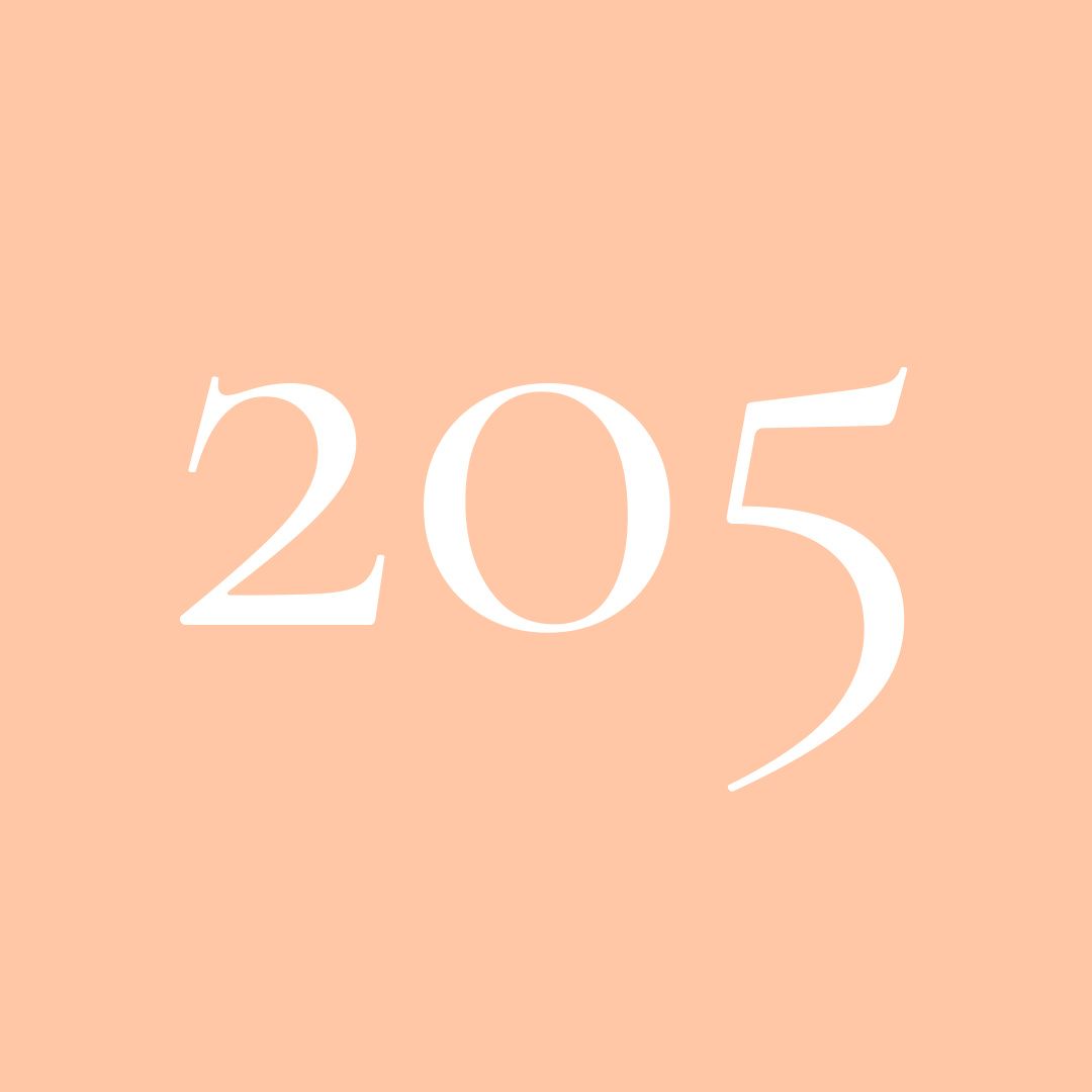 Repeating numbers 205 in coral pink color blocks arranged in a horizontal row against a light background.