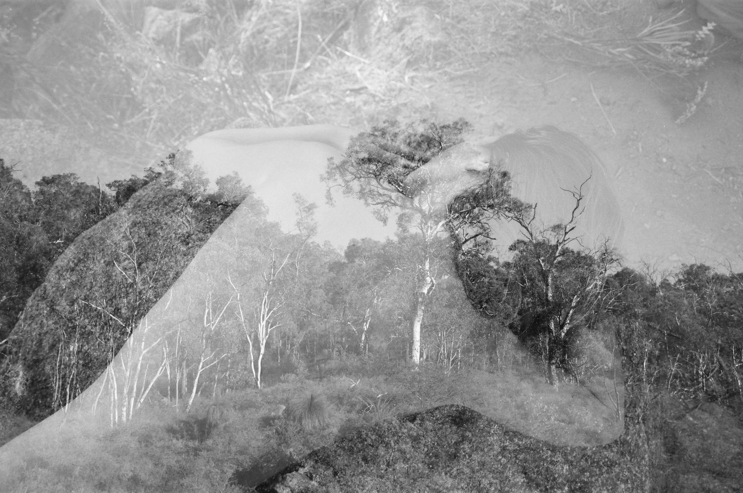 Woman reclining on a warm boulder beside a running stream — raw and grounding film photography in Western Australia’s hills.