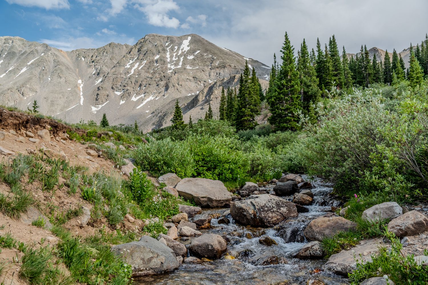 Rocky mountain stream flowing through lush greenery with snow-capped peaks and pine trees in background.