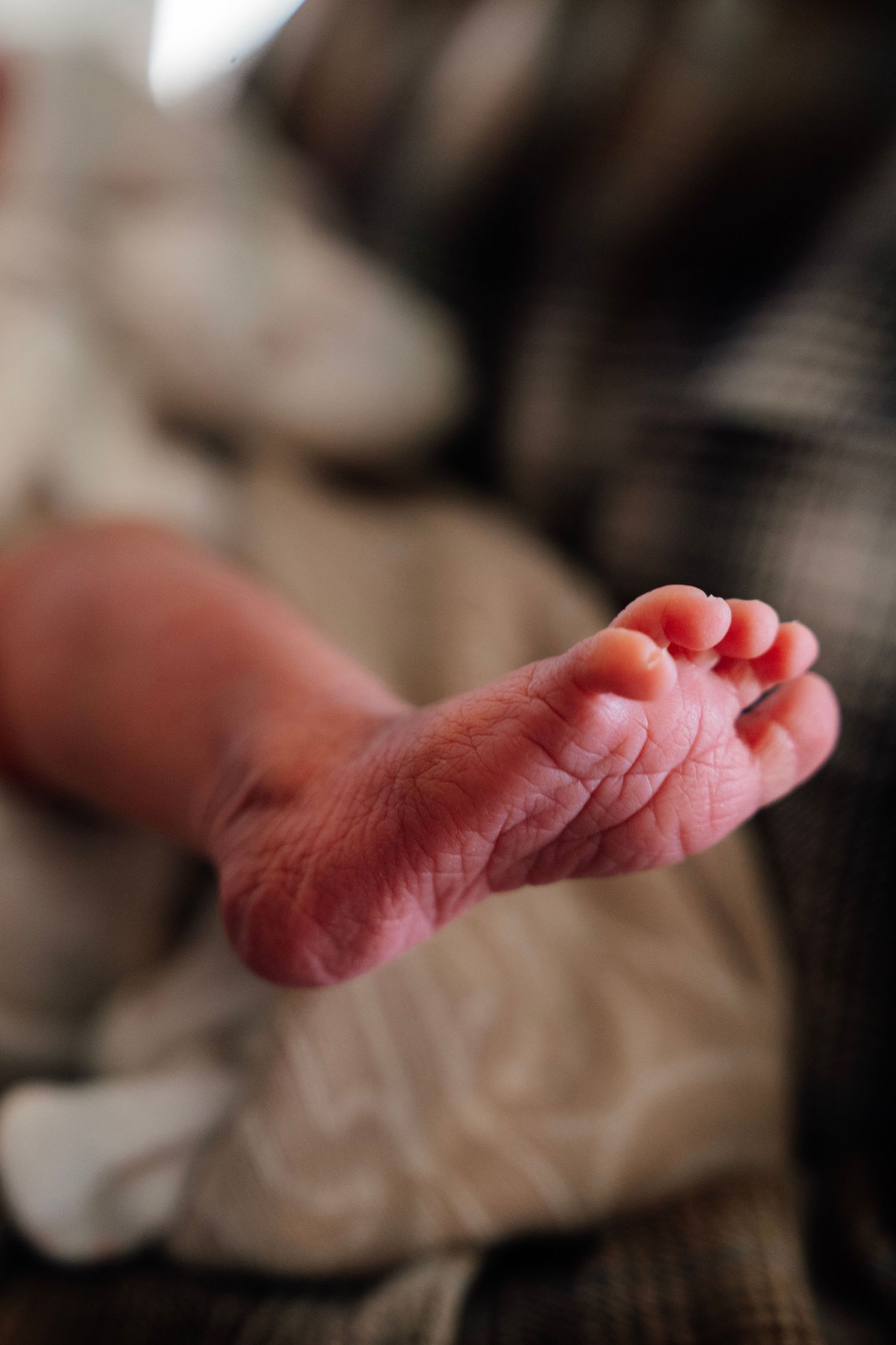 Close-up of a newborn baby's tiny wrinkled foot against a soft blanket by Nelson Newborn Photographer
