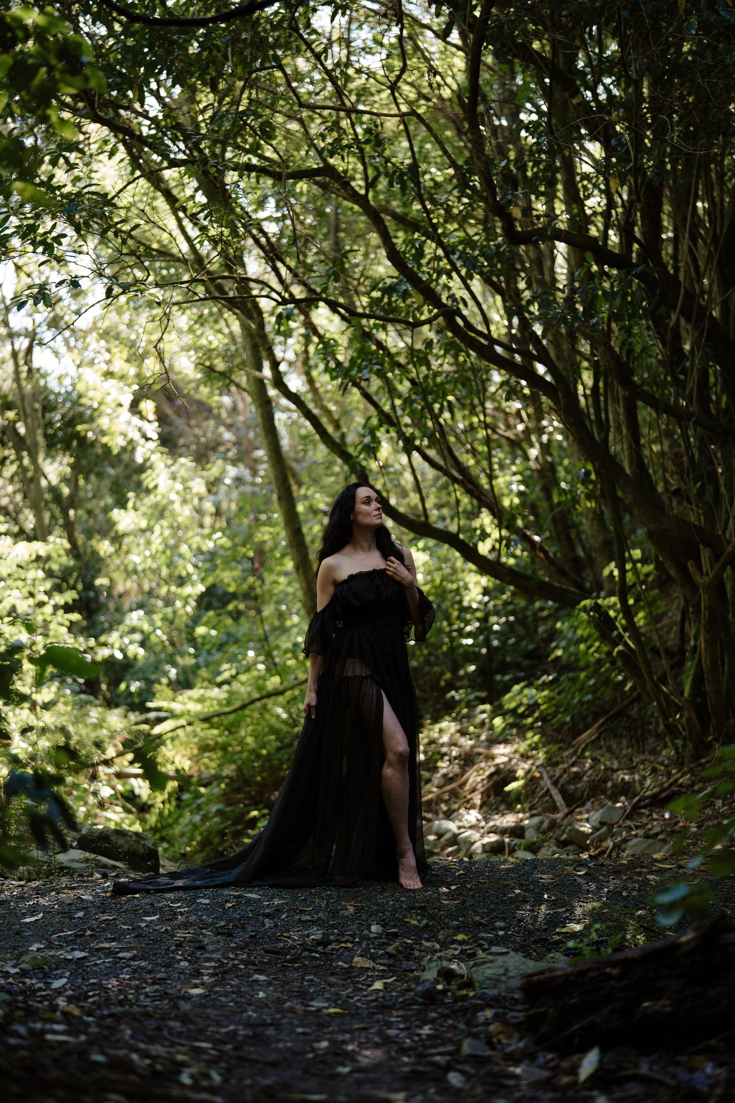 Woman in elegant black gown standing on a forest path surrounded by lush green trees taken by Nelson Motherhood photographer