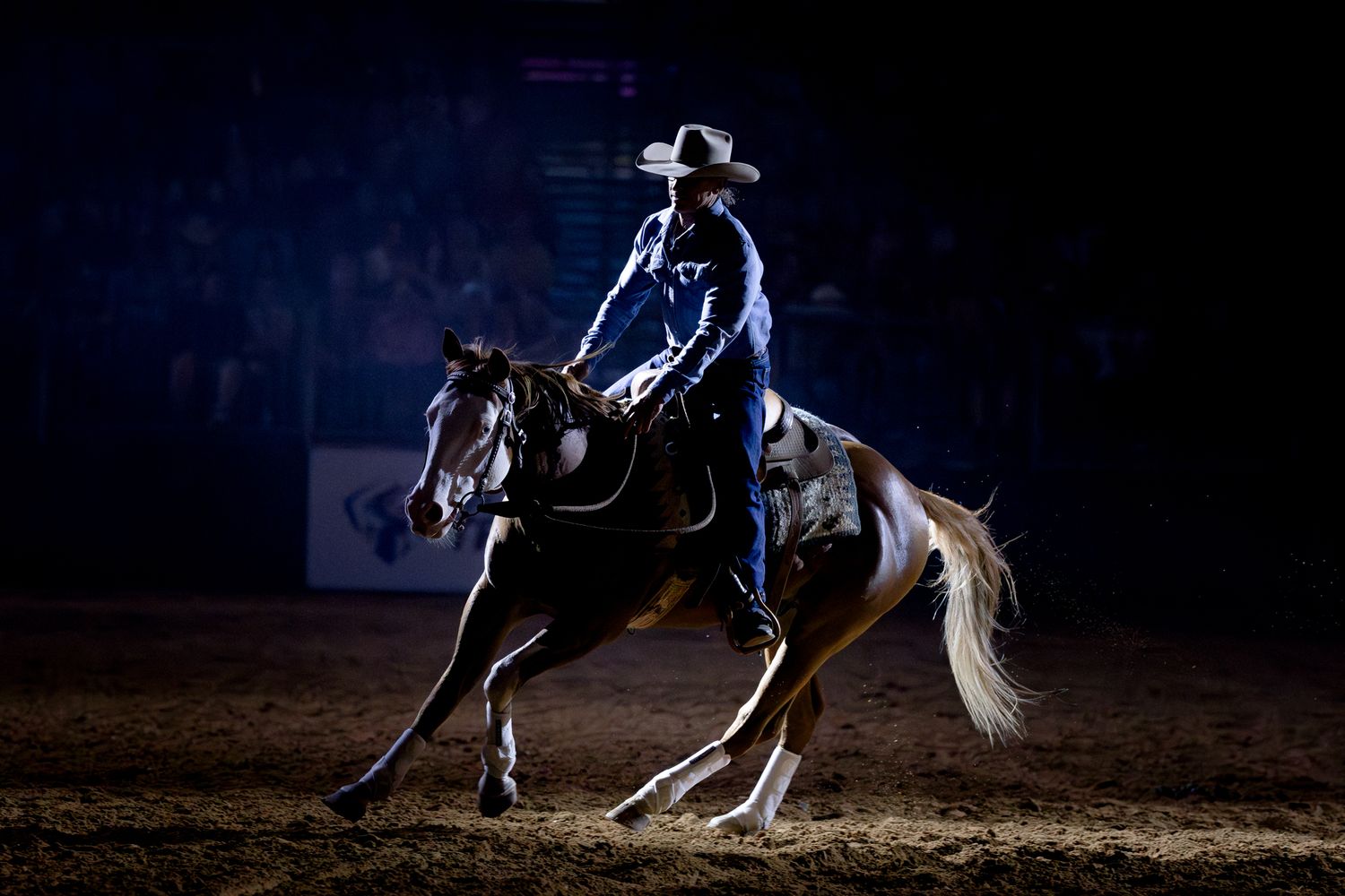 equine sports photographer equestrian australia dressage showjumping eventing olympic victoria