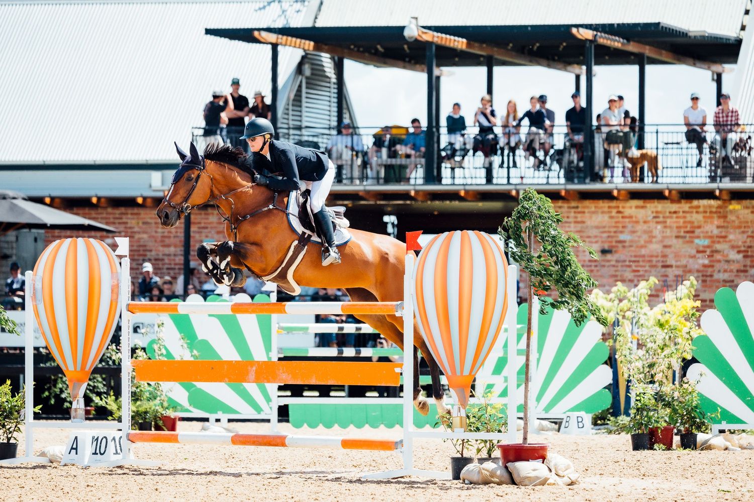 showjumping boneo park
