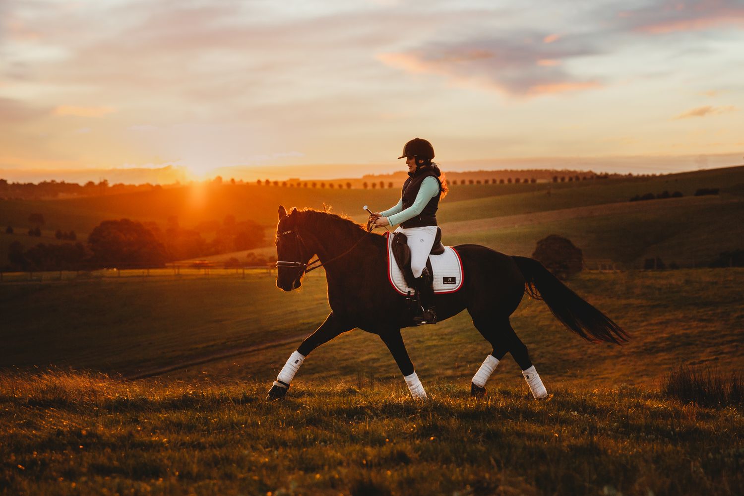 sales stallion photoshoot at sunset at nutfield under saddle