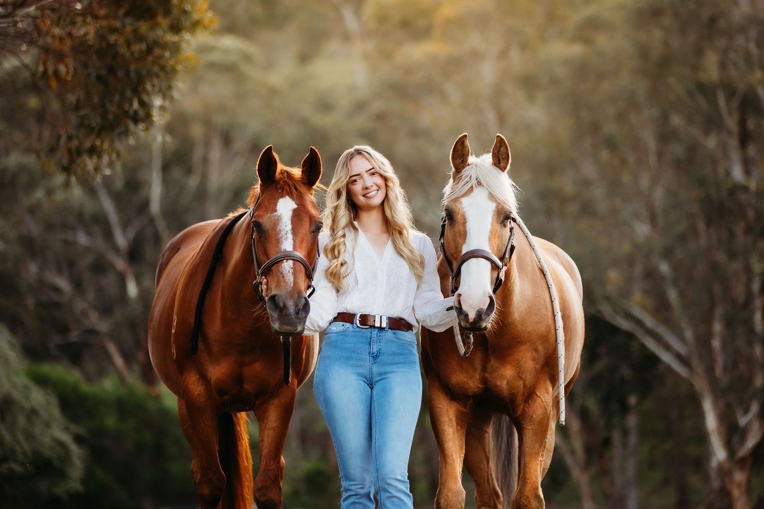 fine art equine portrait victoria australia horse and rider