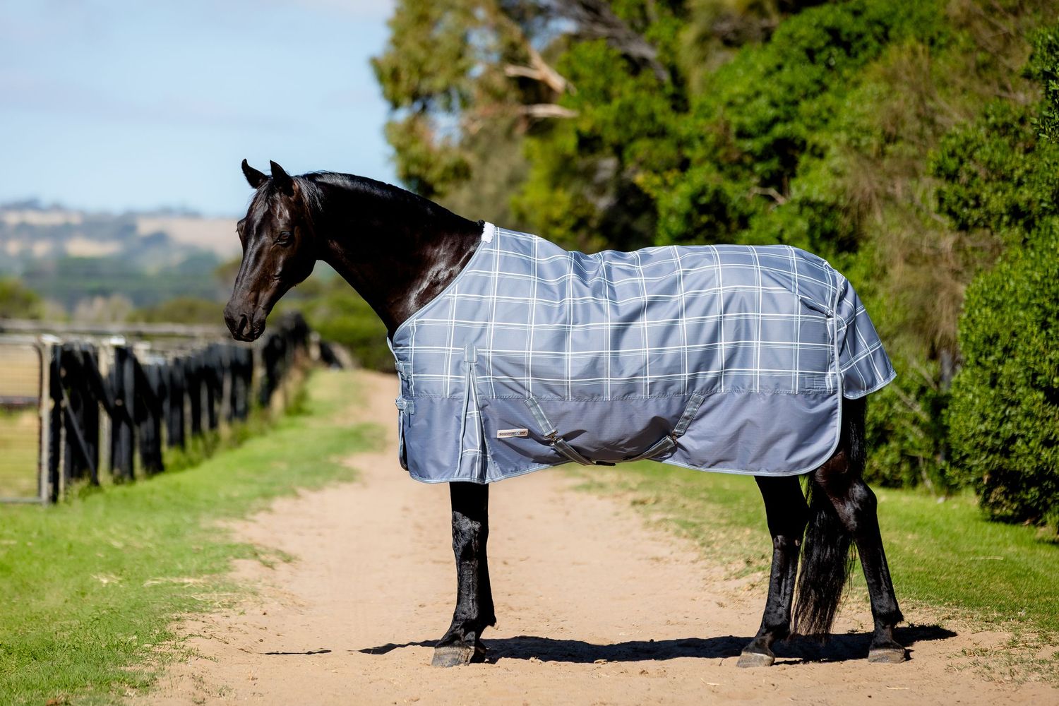 photography commercial equestrian horse rug goodwoods