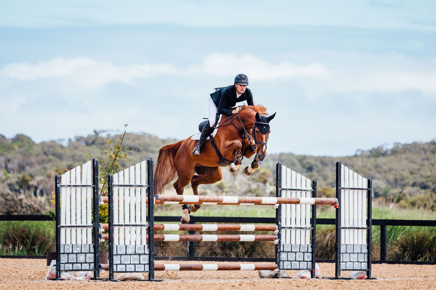 showjumping boneo park