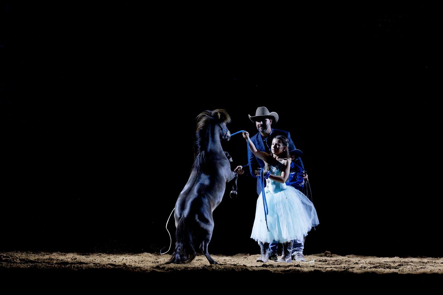 equitana mane event rearing pony