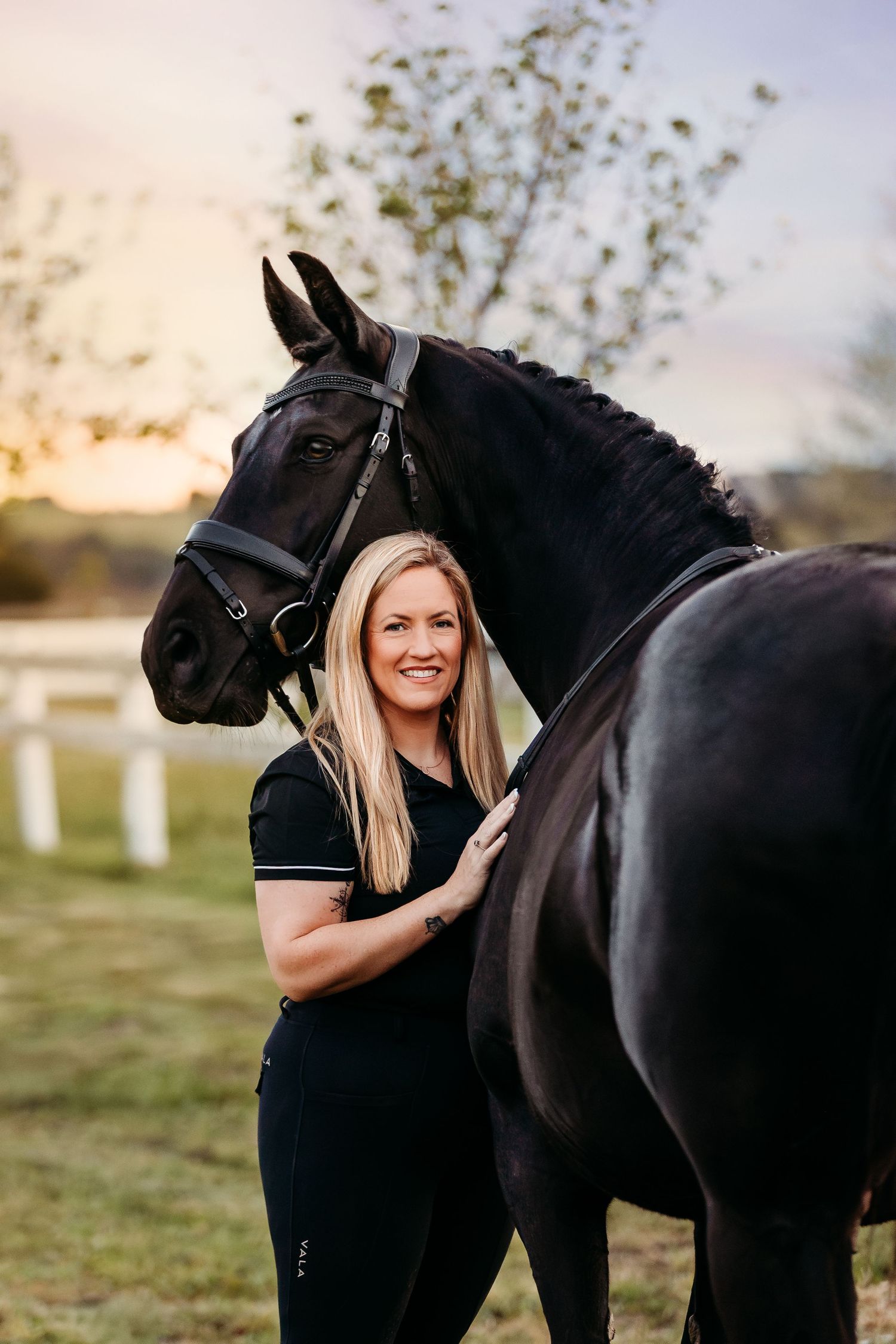 fine art equine portrait victoria australia horse and rider geelong